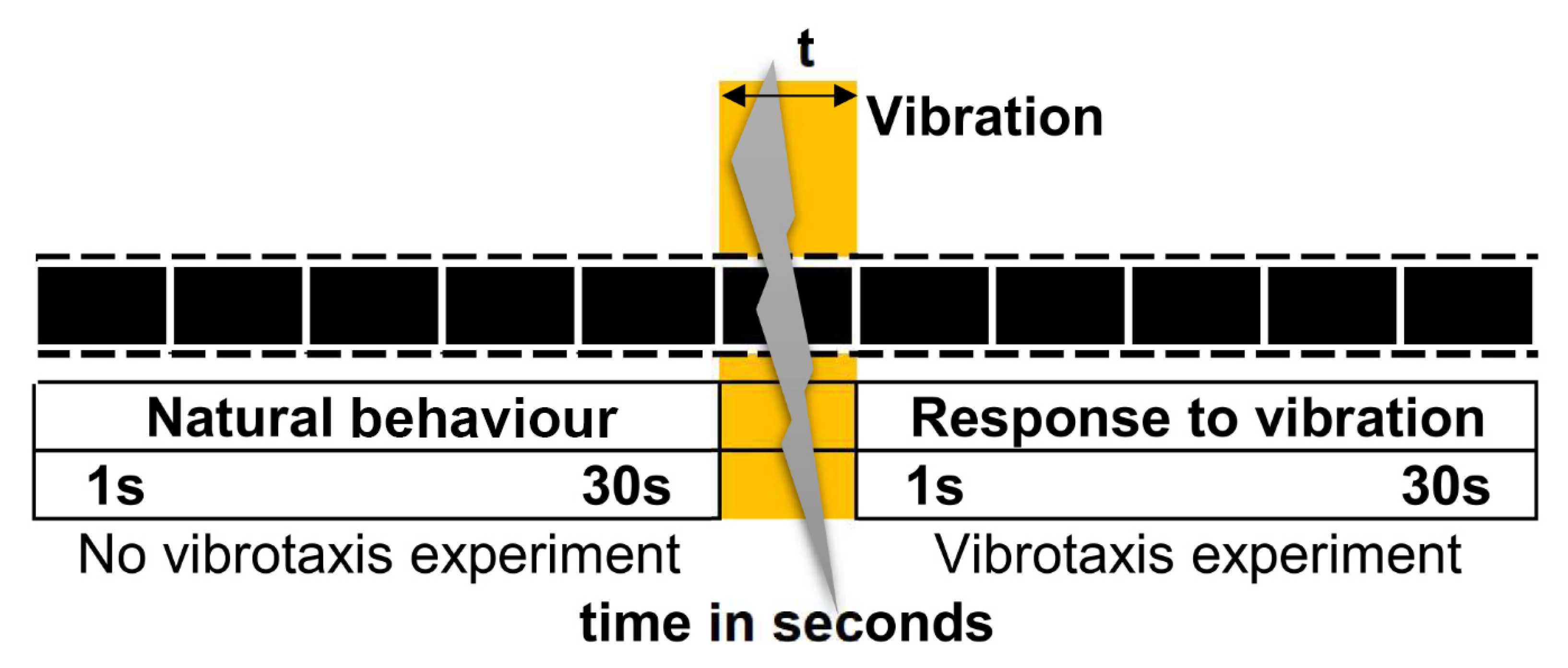 Sensors 20 05981 g003