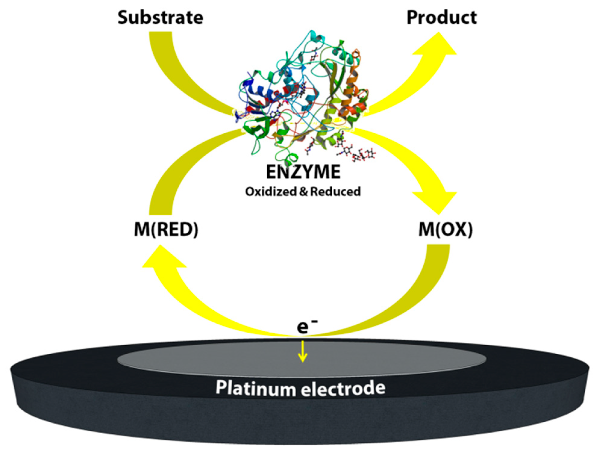 Sensors 20 06013 g003