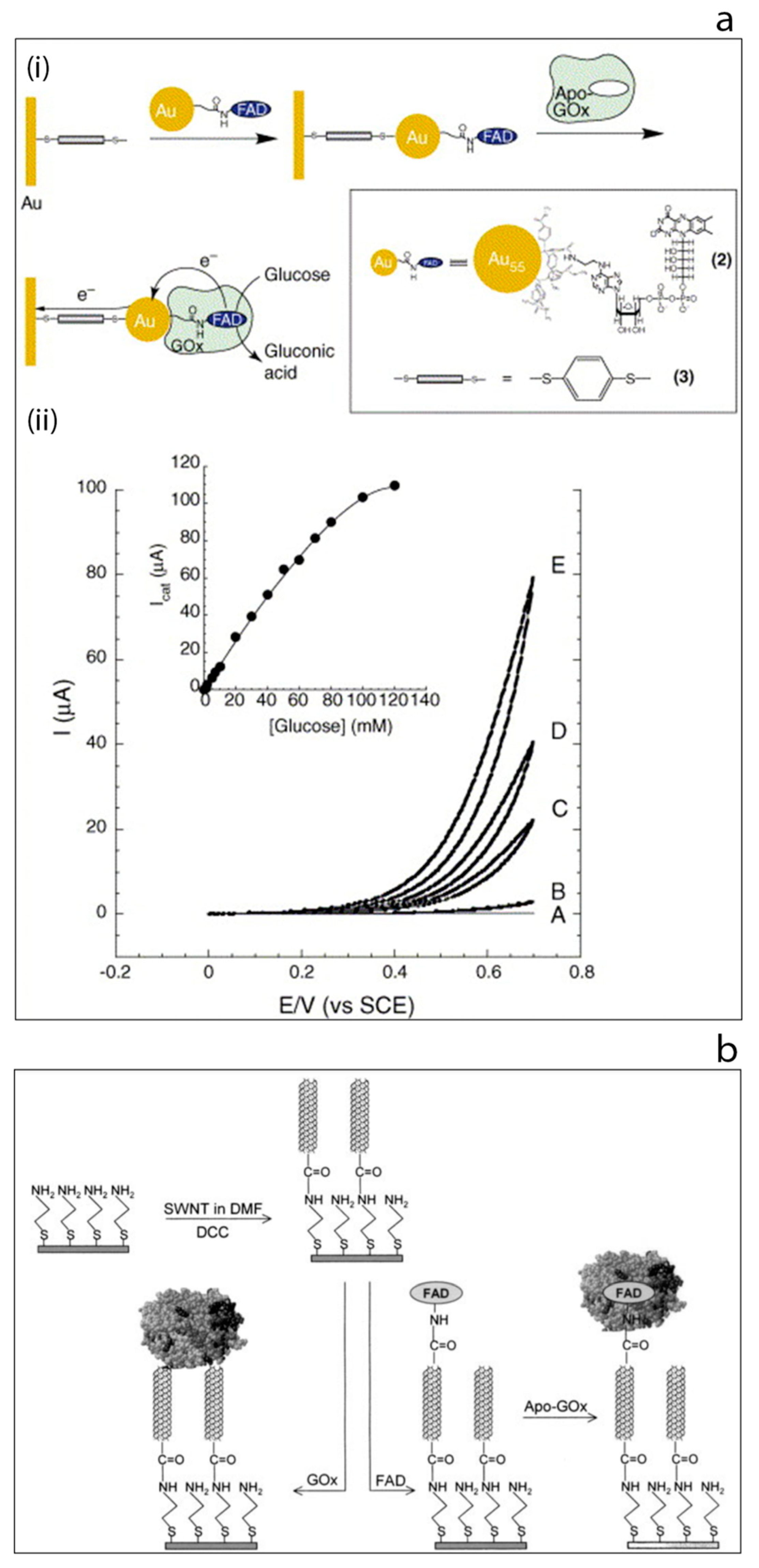 Sensors 20 06013 g004