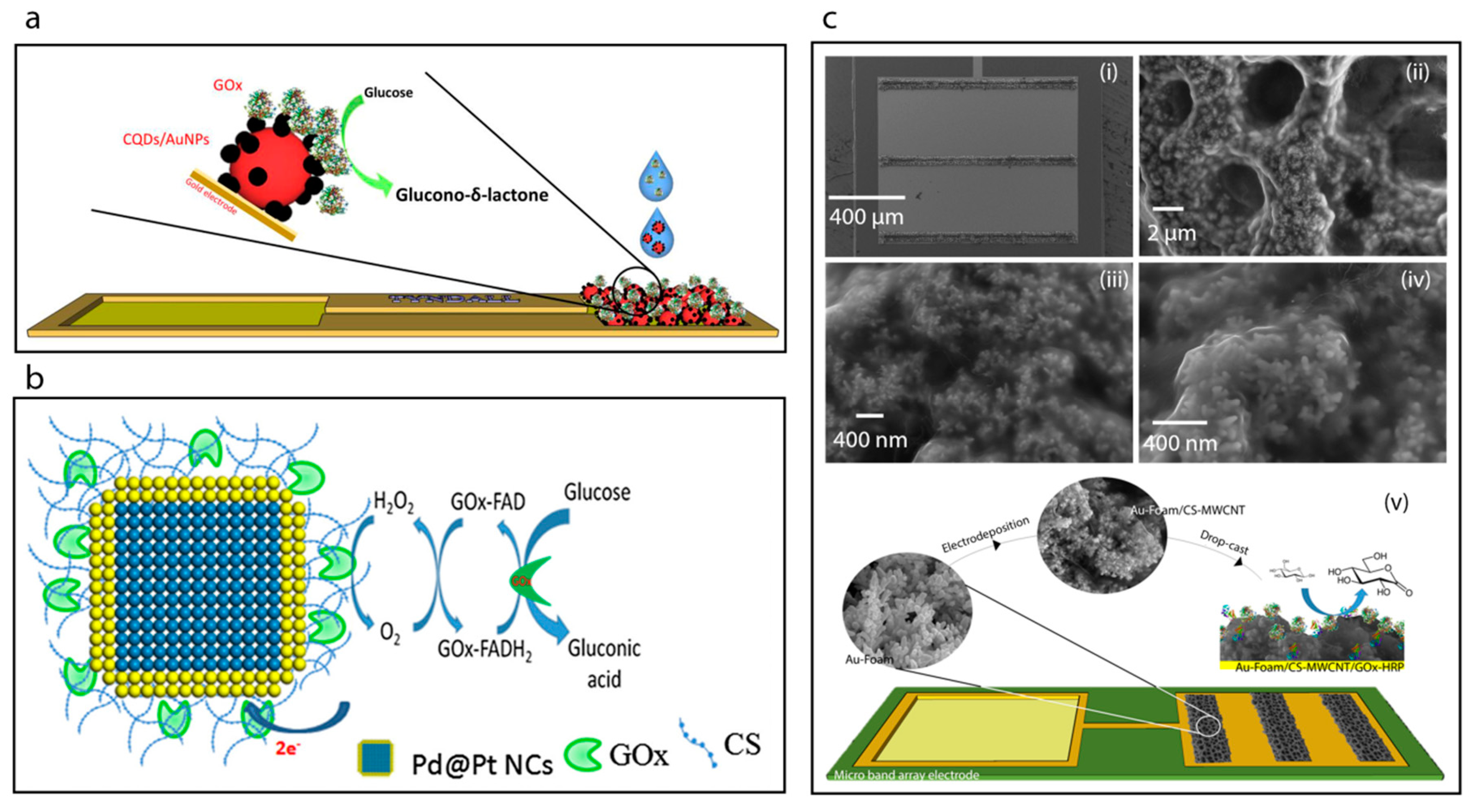 Sensors 20 06013 g006