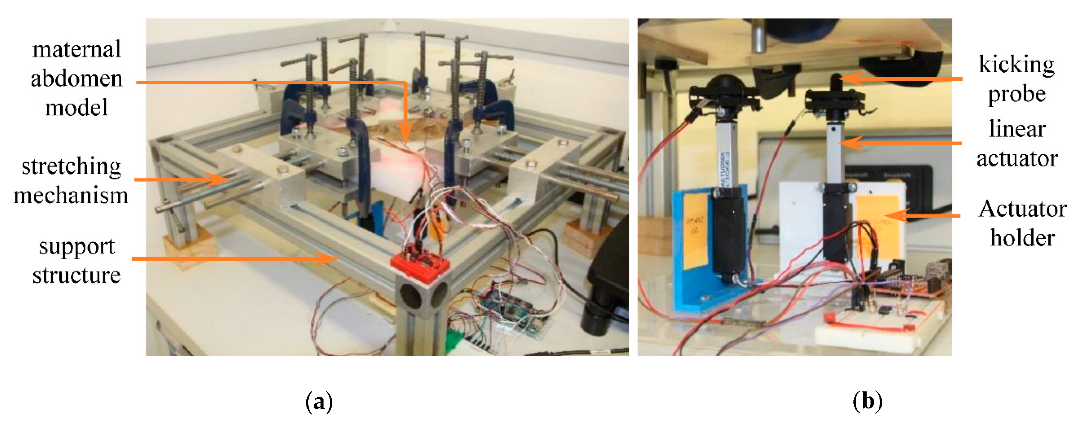 Sensors 20 06020 g001