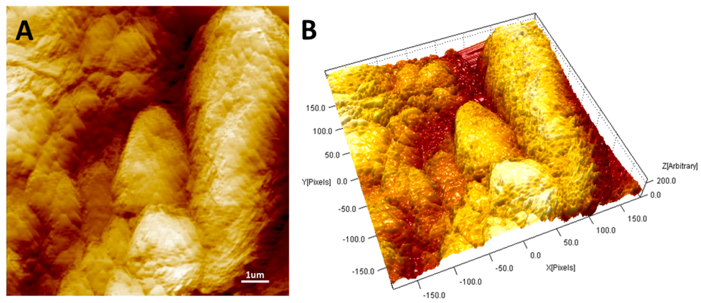 Sensors 20 06021 g003