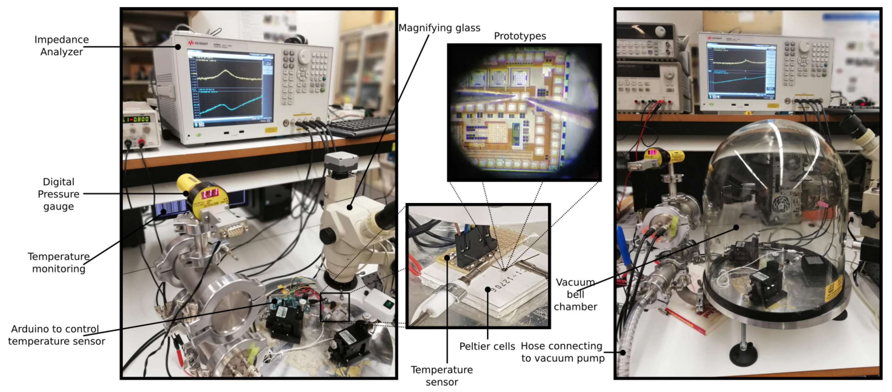 Sensors 20 06037 g005