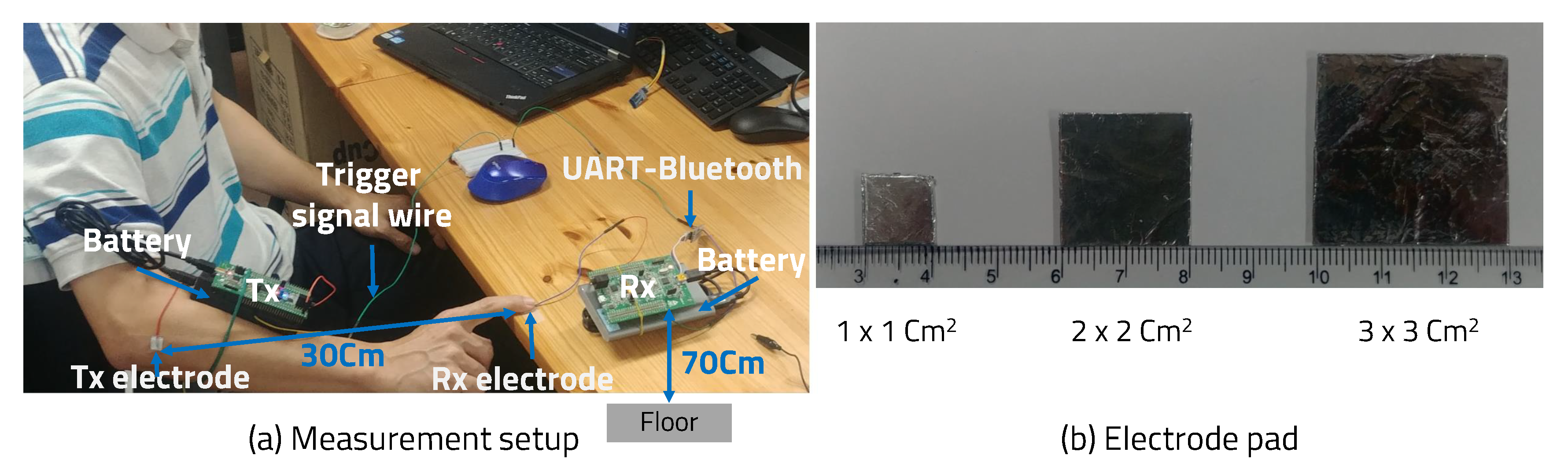 Sensors 20 06056 g009