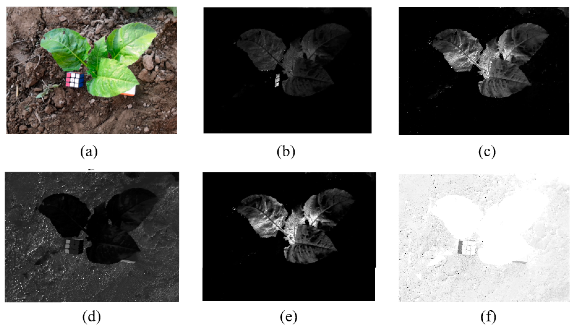 Sensors 20 06068 g002 Sensors 20 06068 g002