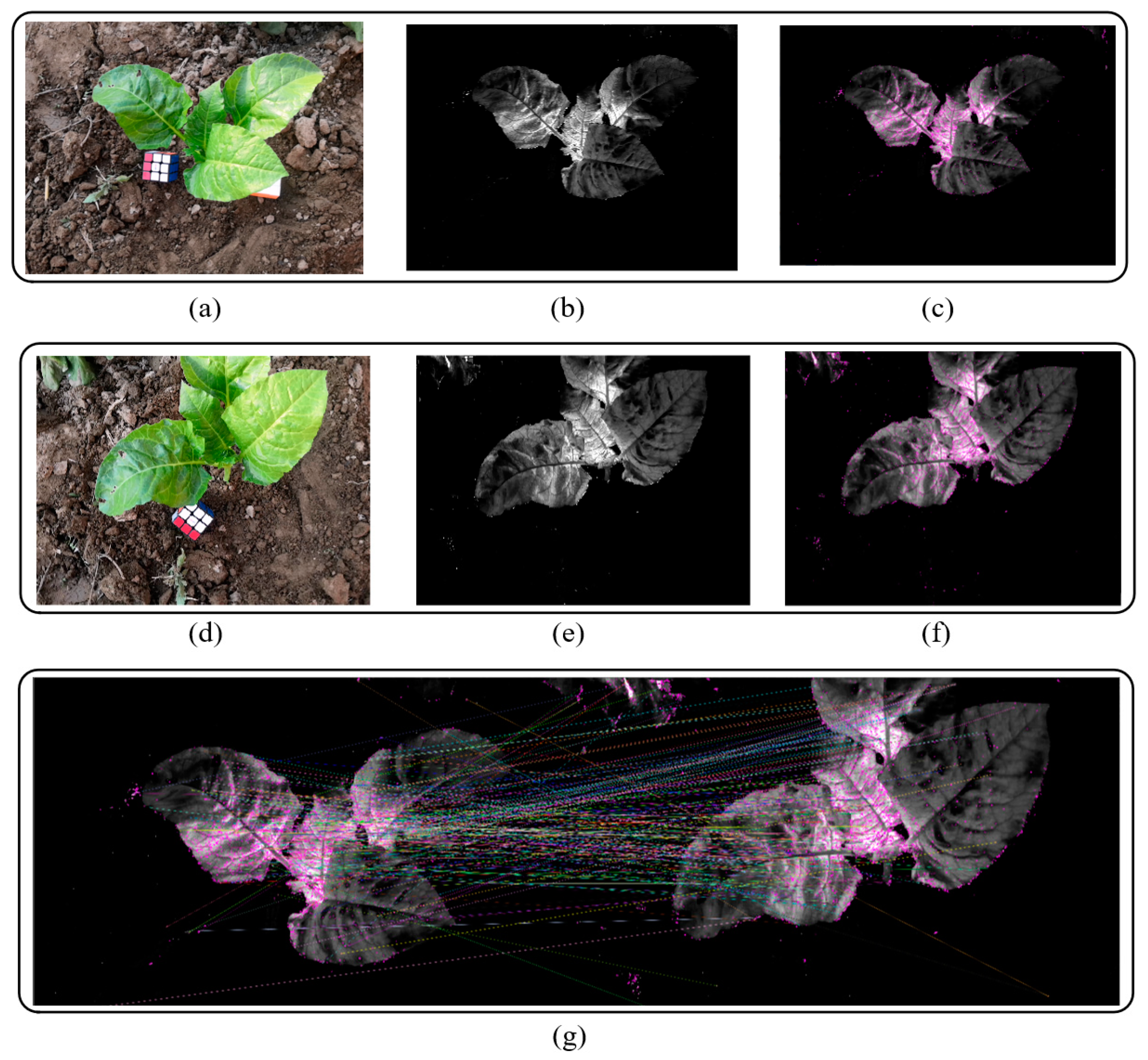 Sensors 20 06068 g003 Sensors 20 06068 g003