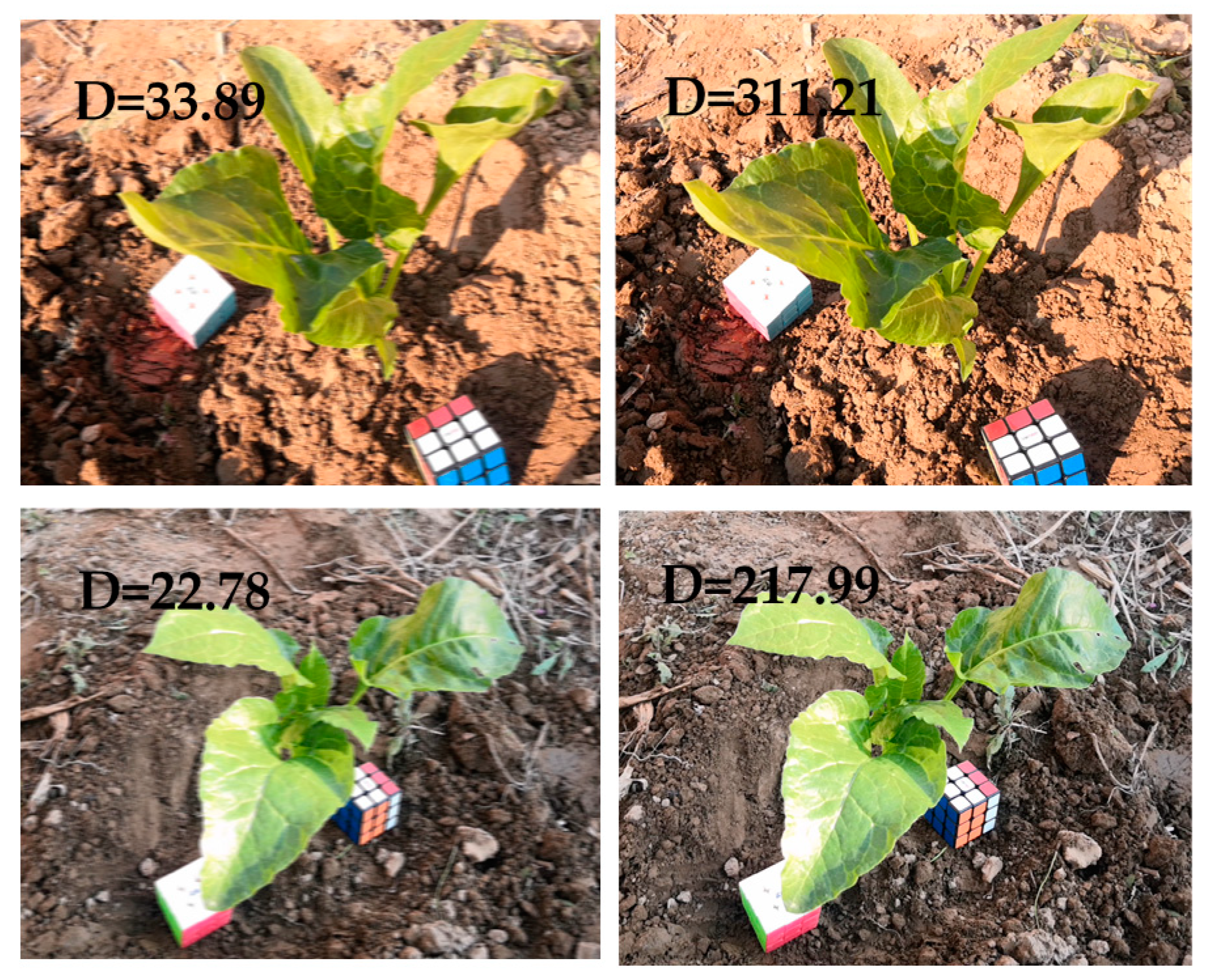 Sensors 20 06068 g005 Sensors 20 06068 g005