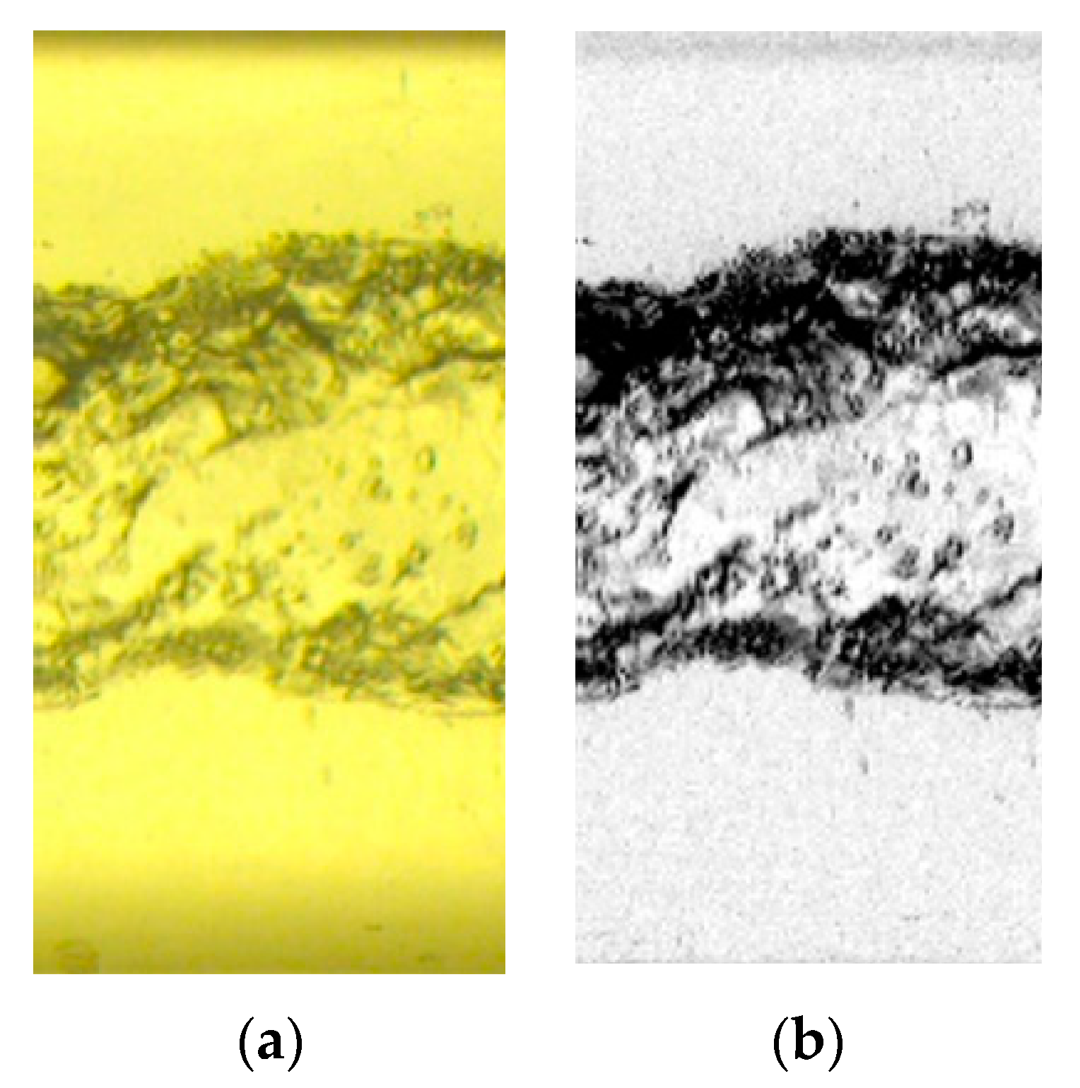 Sensors 20 06069 g010