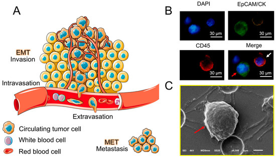 Sensors 20 06073 g001