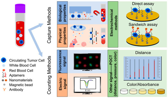Sensors 20 06073 g002