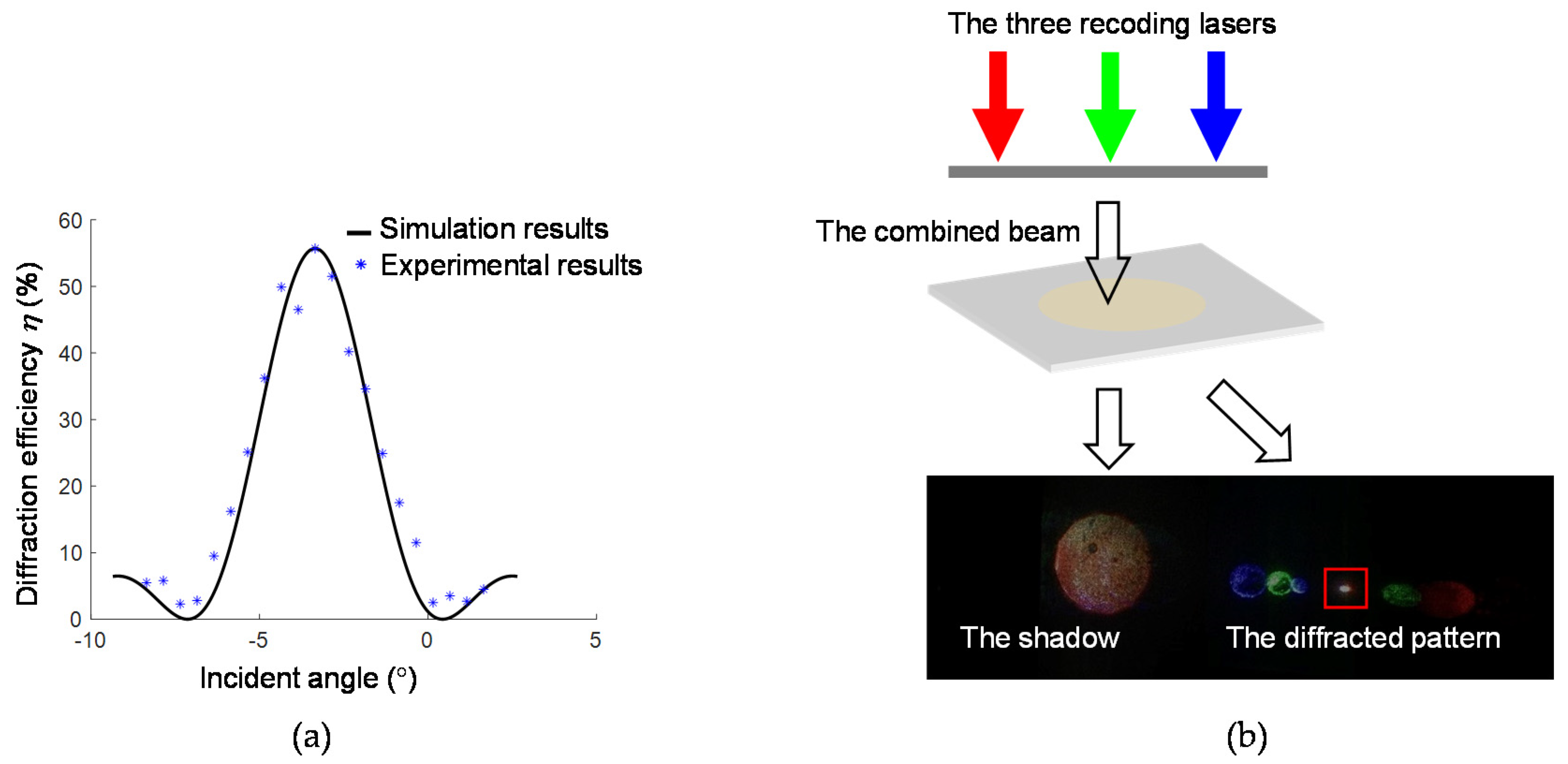 Sensors 20 06080 g006