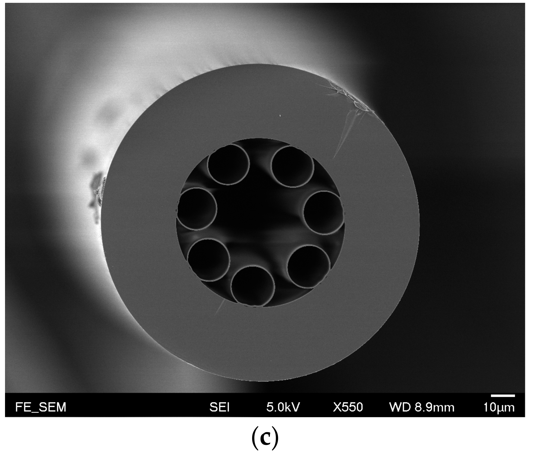 Sensors 20 06084 g002b