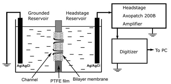 Sensors 20 06099 g0a1