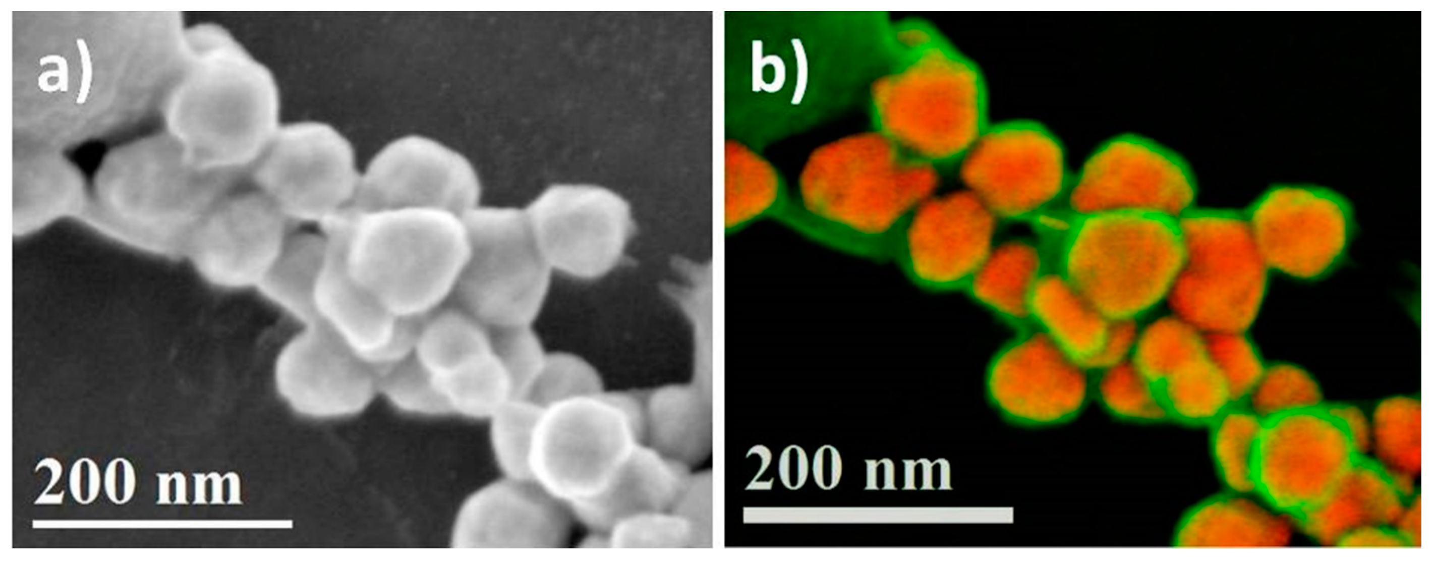 Sensors 20 06108 g006