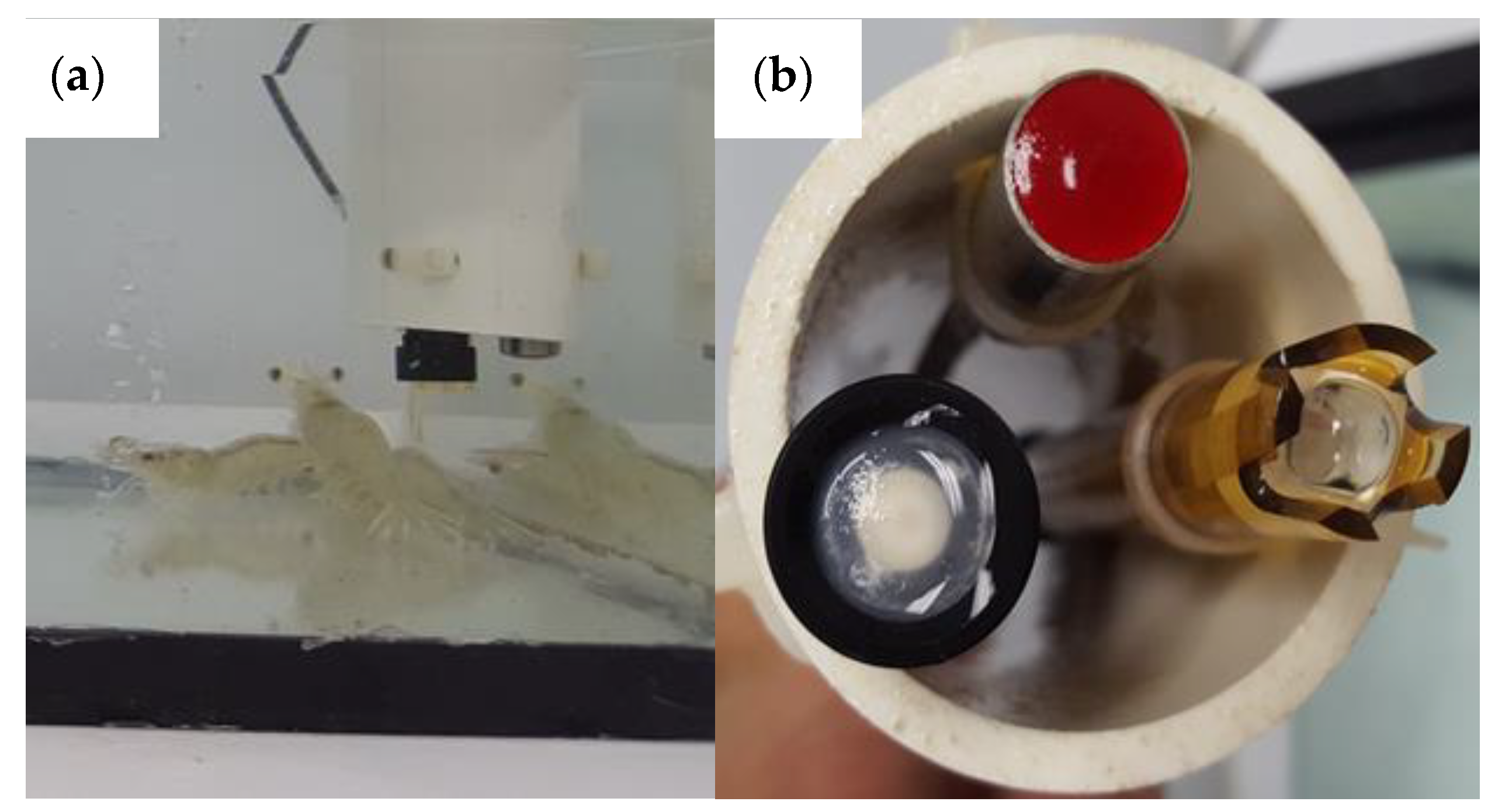 Sensors 20 06112 g003