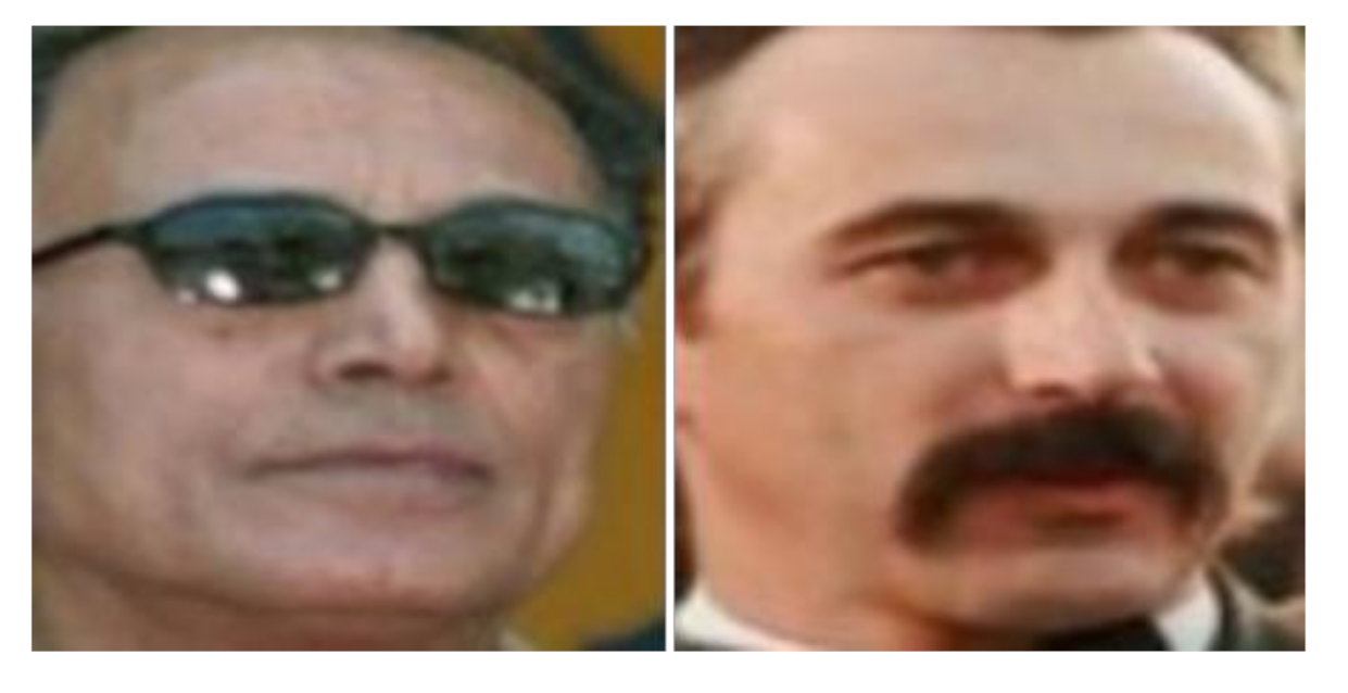 Sensors 20 06114 g013