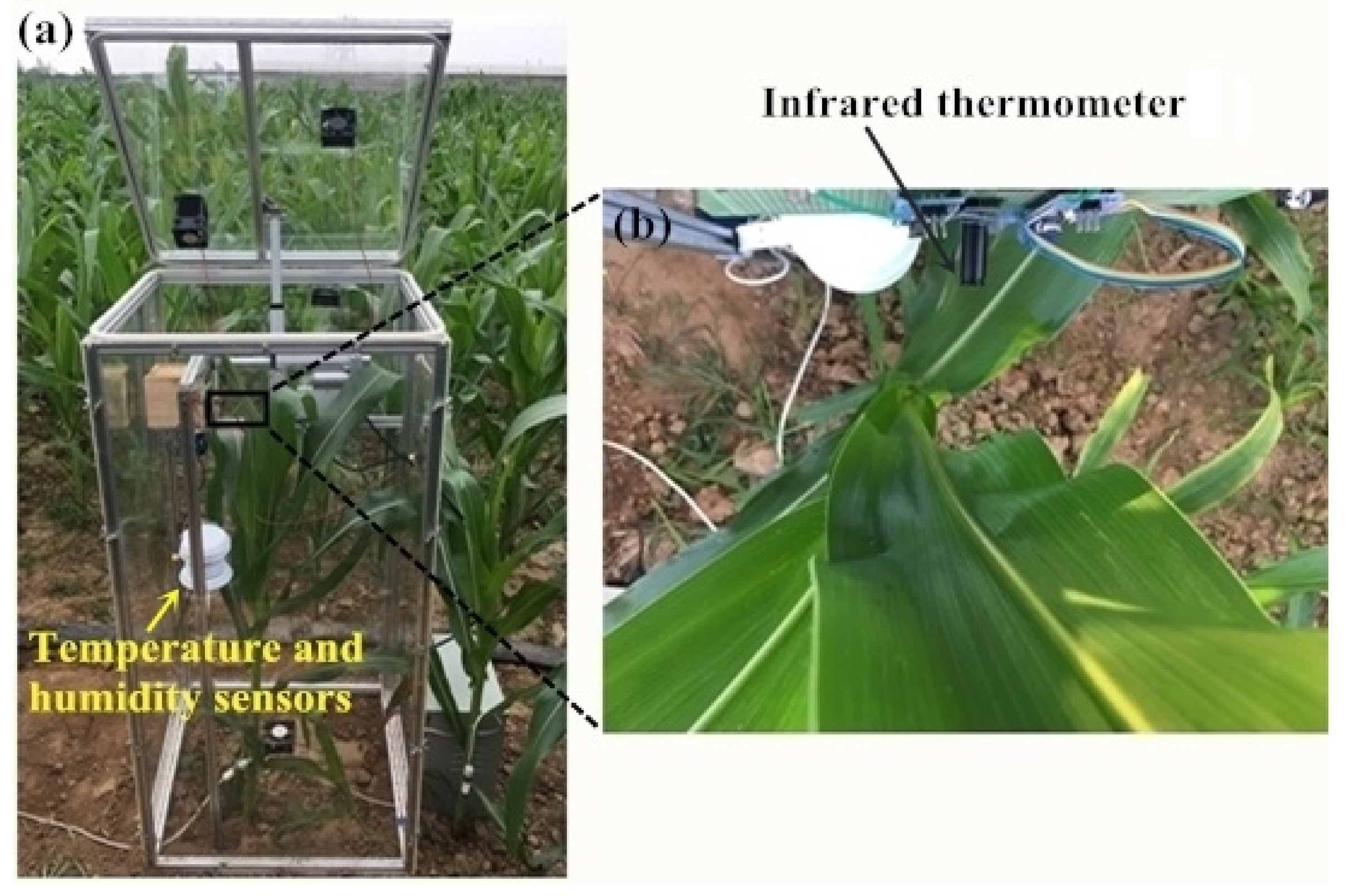 Sensors 20 06117 g002