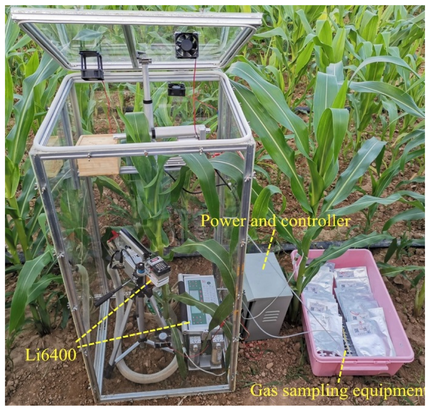 Sensors 20 06117 g003