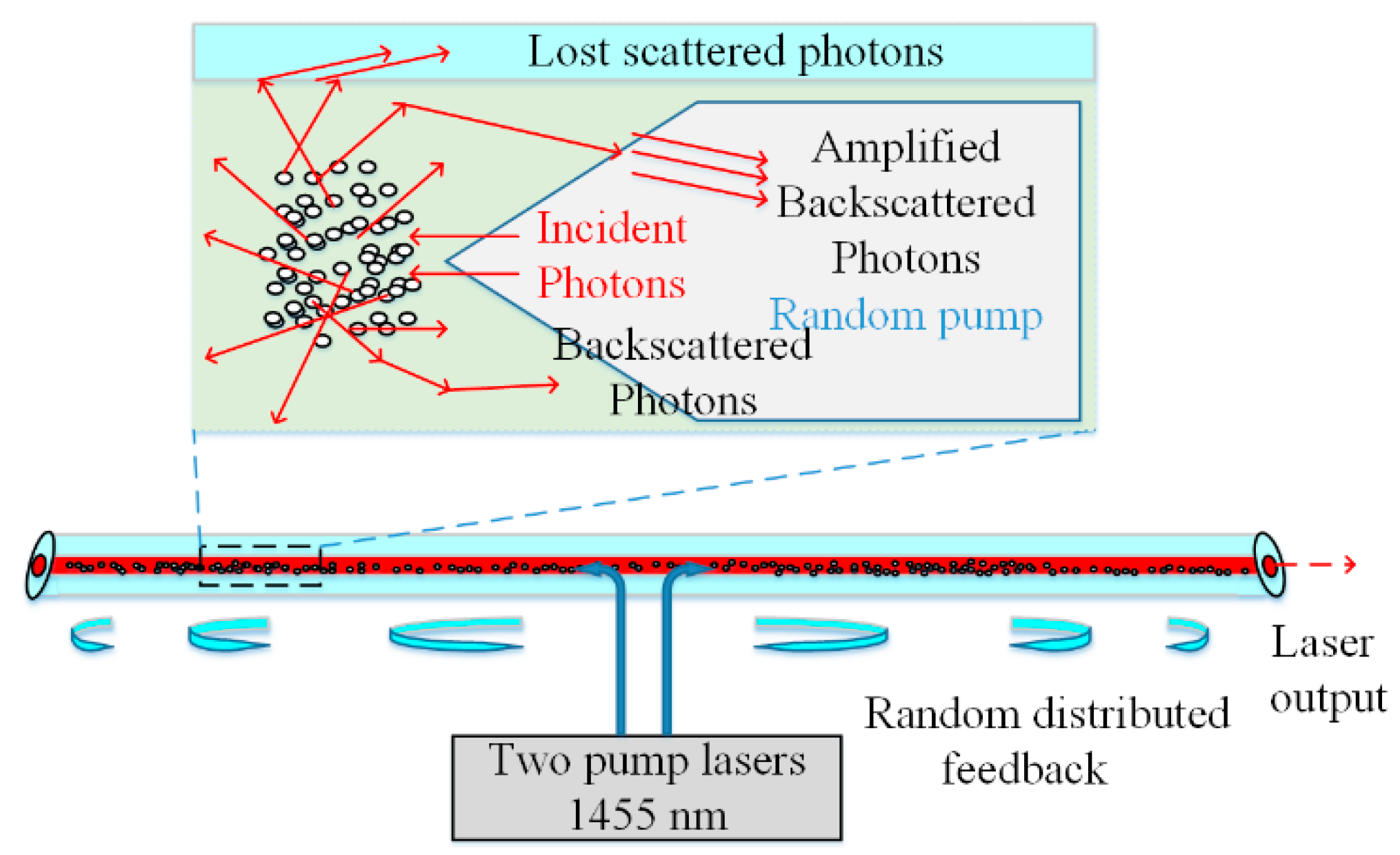 Sensors 20 06122 g002