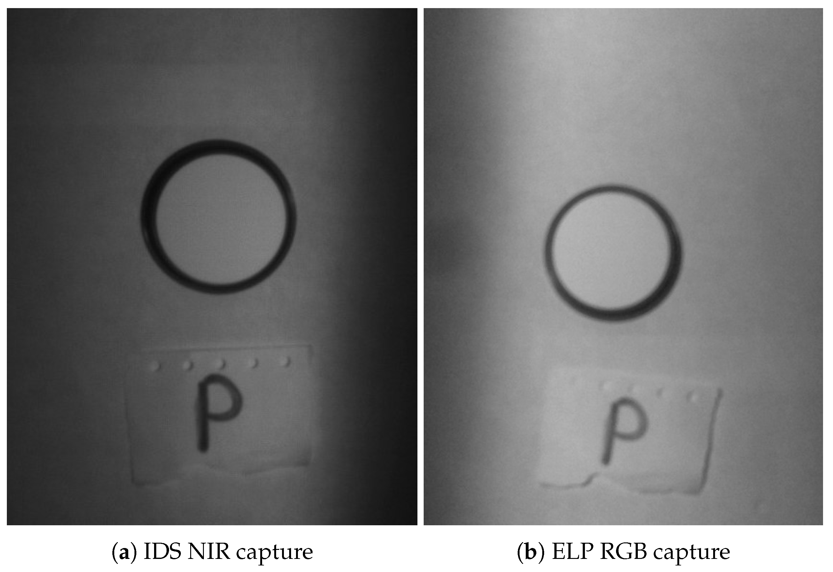 Sensors 20 06129 g010