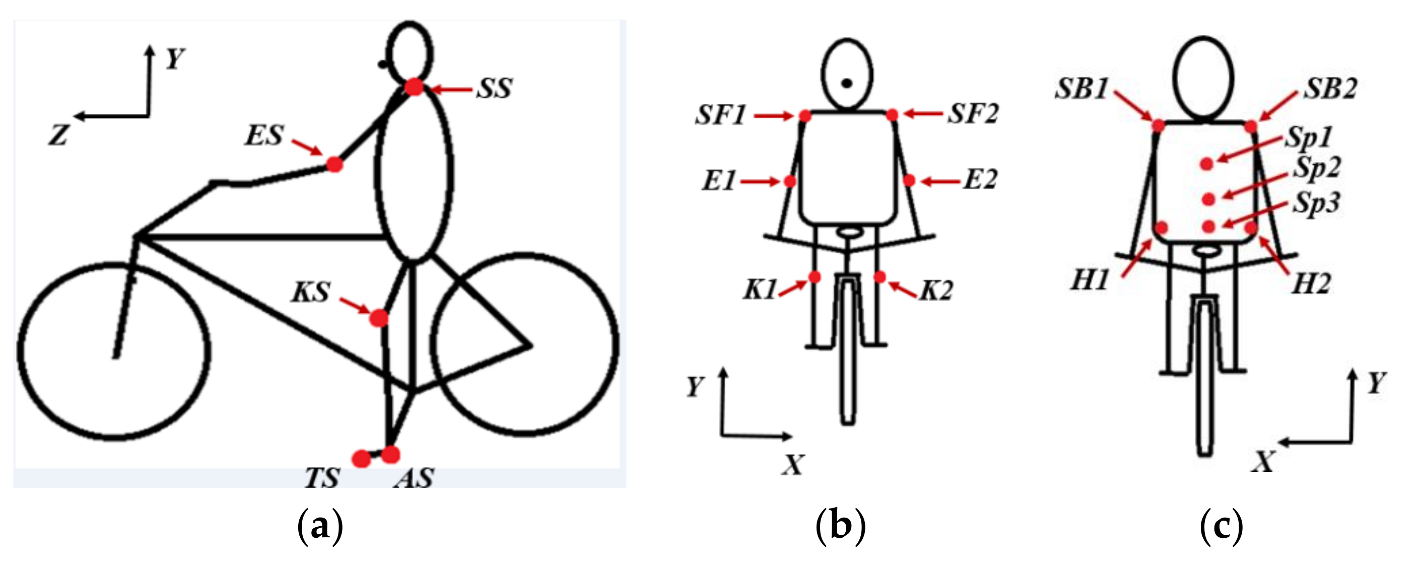 Sensors 20 06135 g003