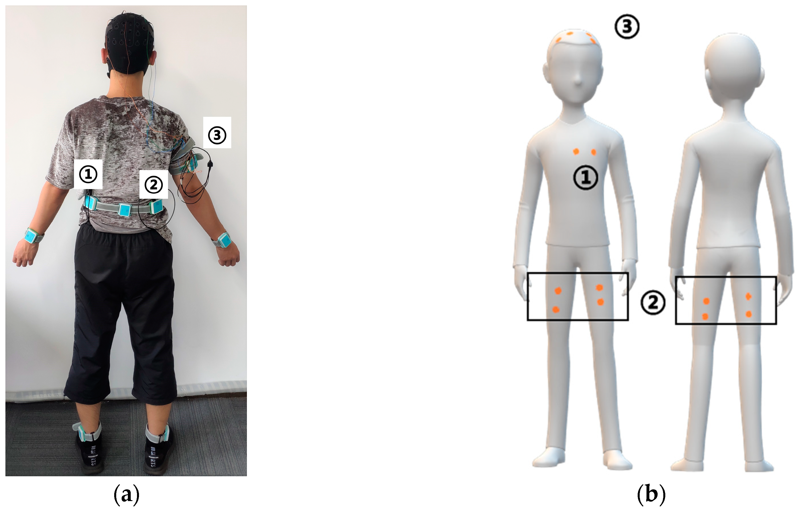 Sensors 20 06146 g005