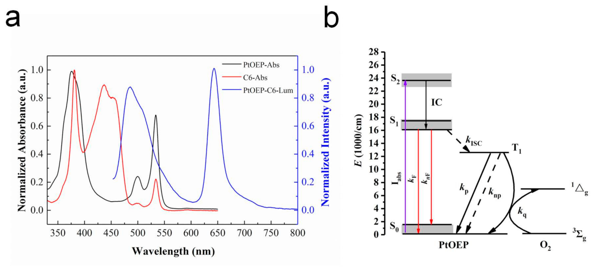 Sensors 20 06175 g002