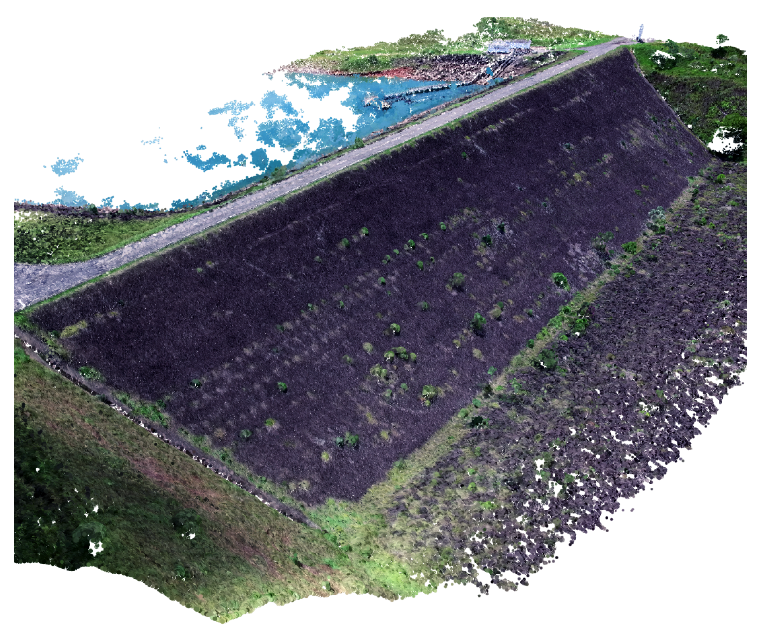 Sensors 20 06187 g007