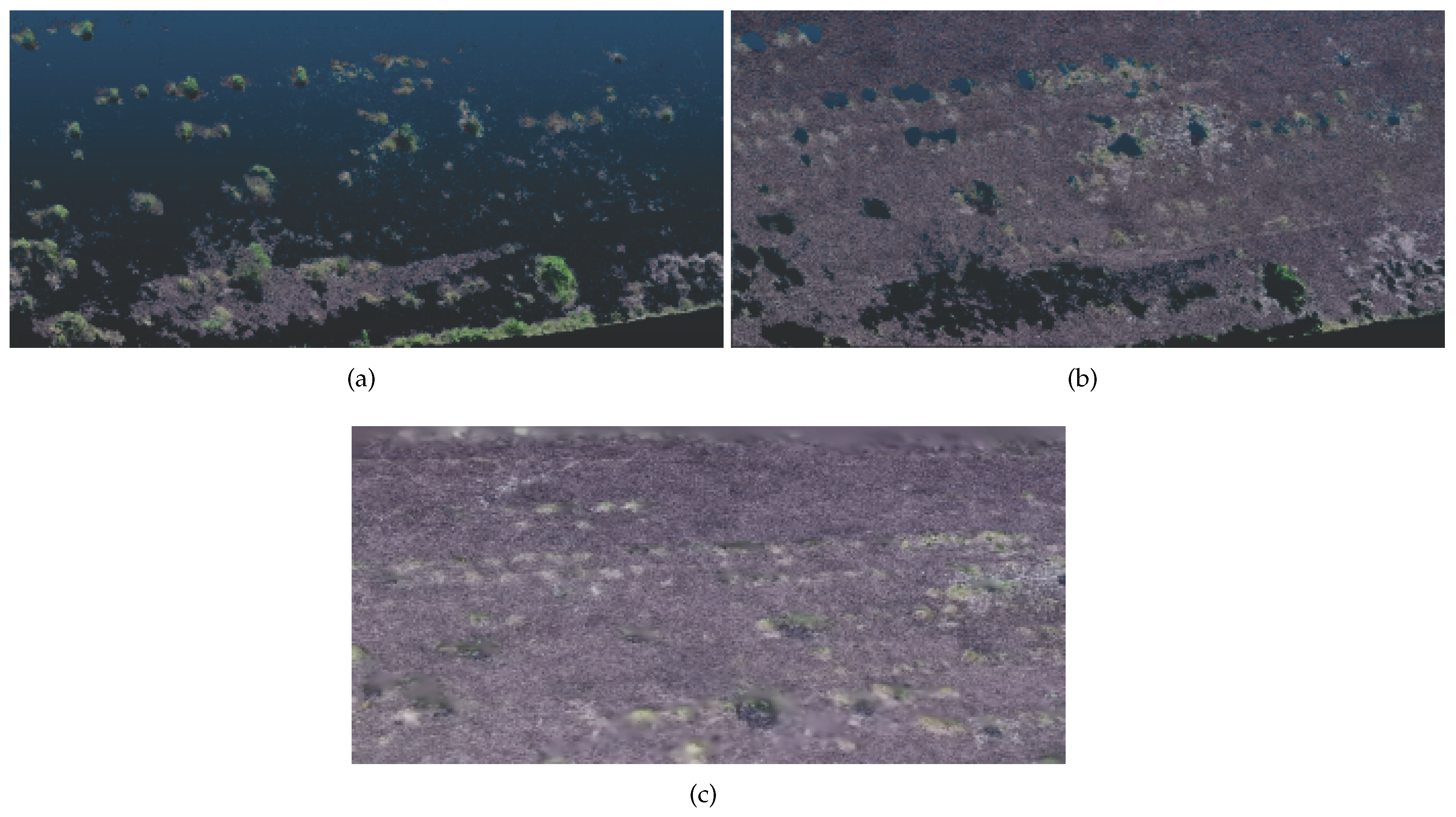 Sensors 20 06187 g011