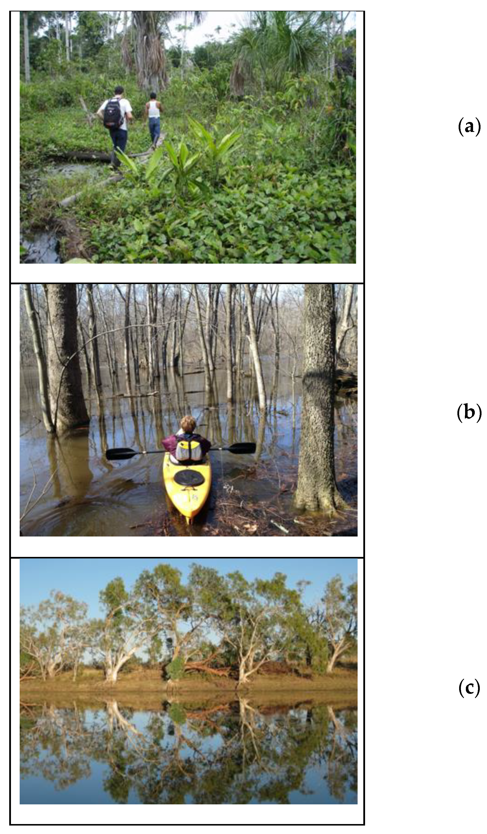 Sensors 20 06189 g001