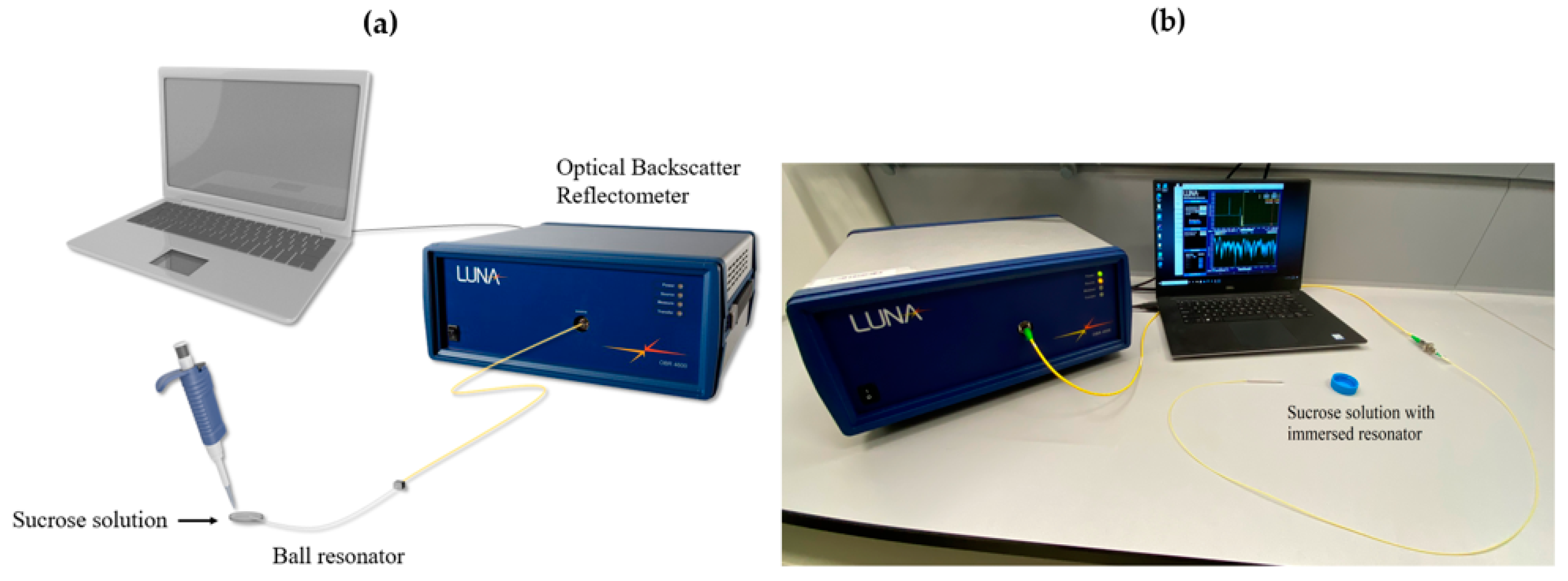 Sensors 20 06199 g004