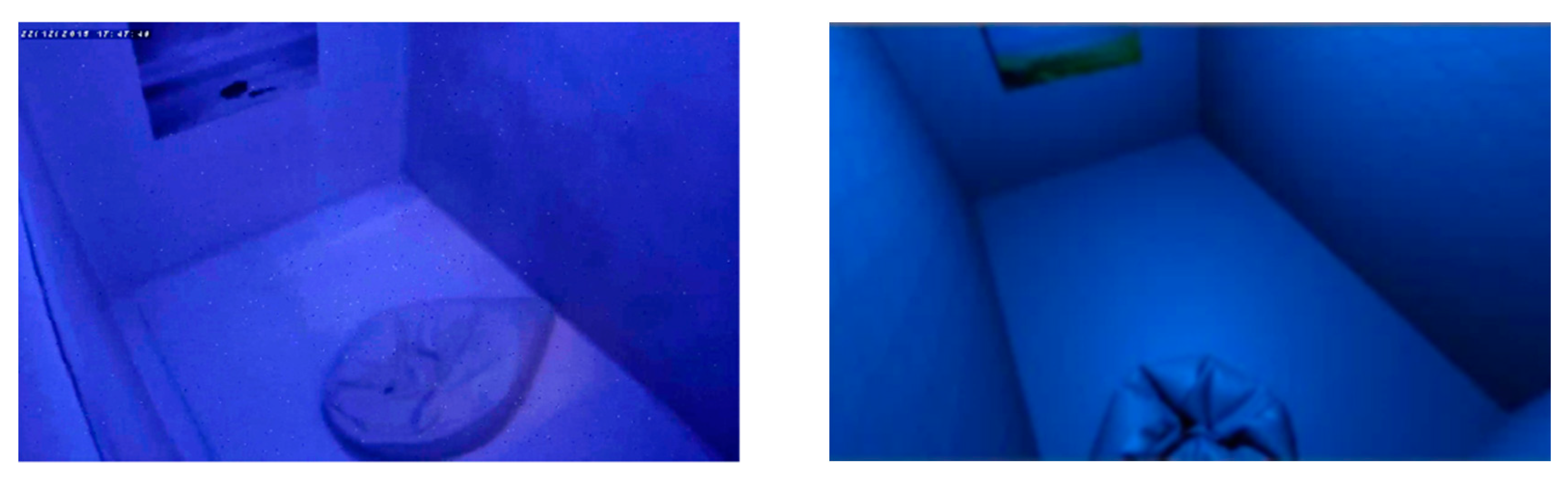 Sensors 20 06211 g002