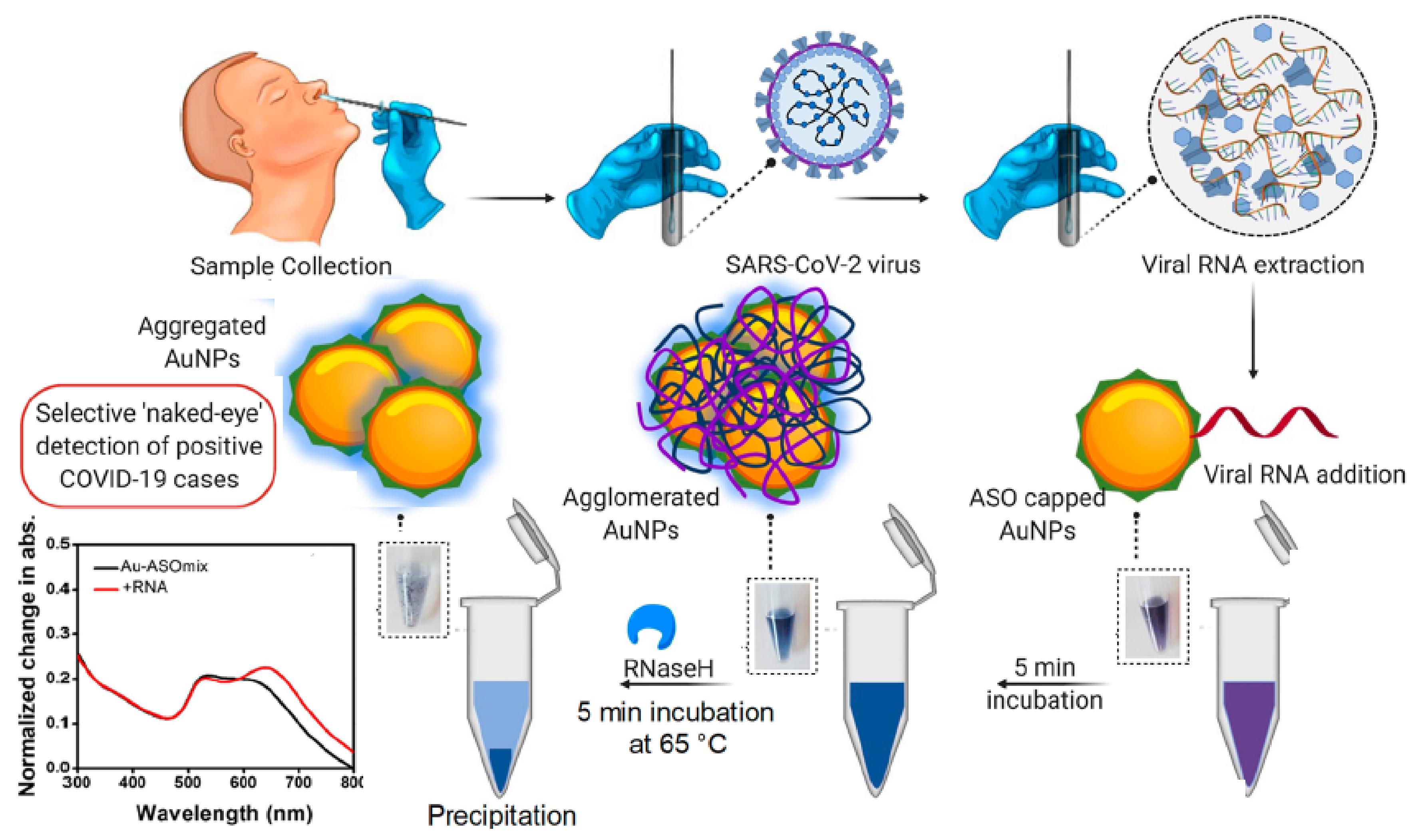Sensors 20 06214 g006