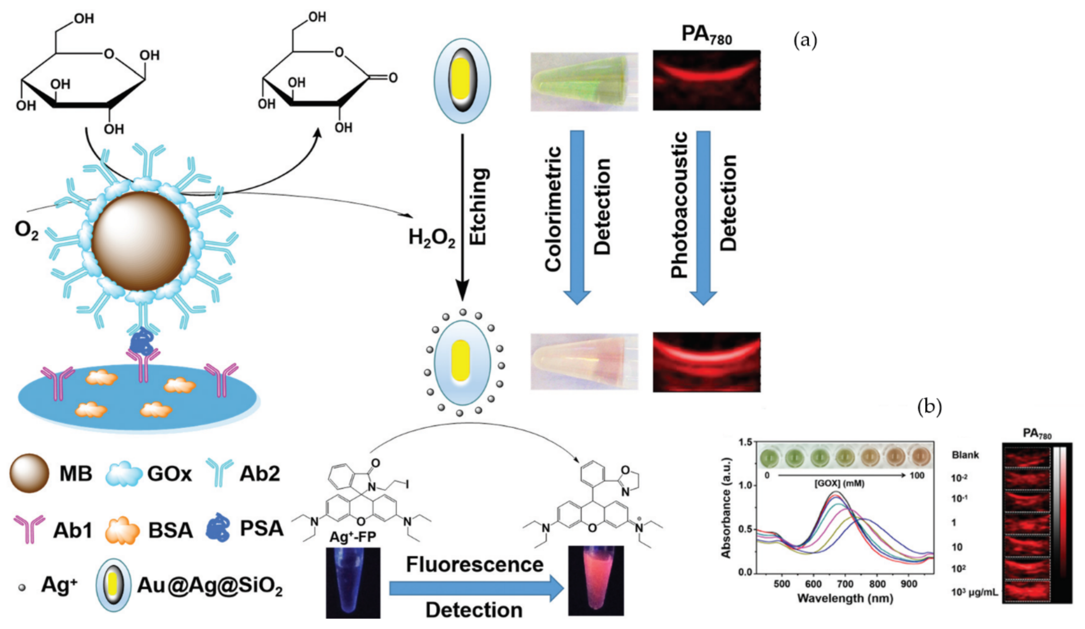 Sensors 20 06214 g012