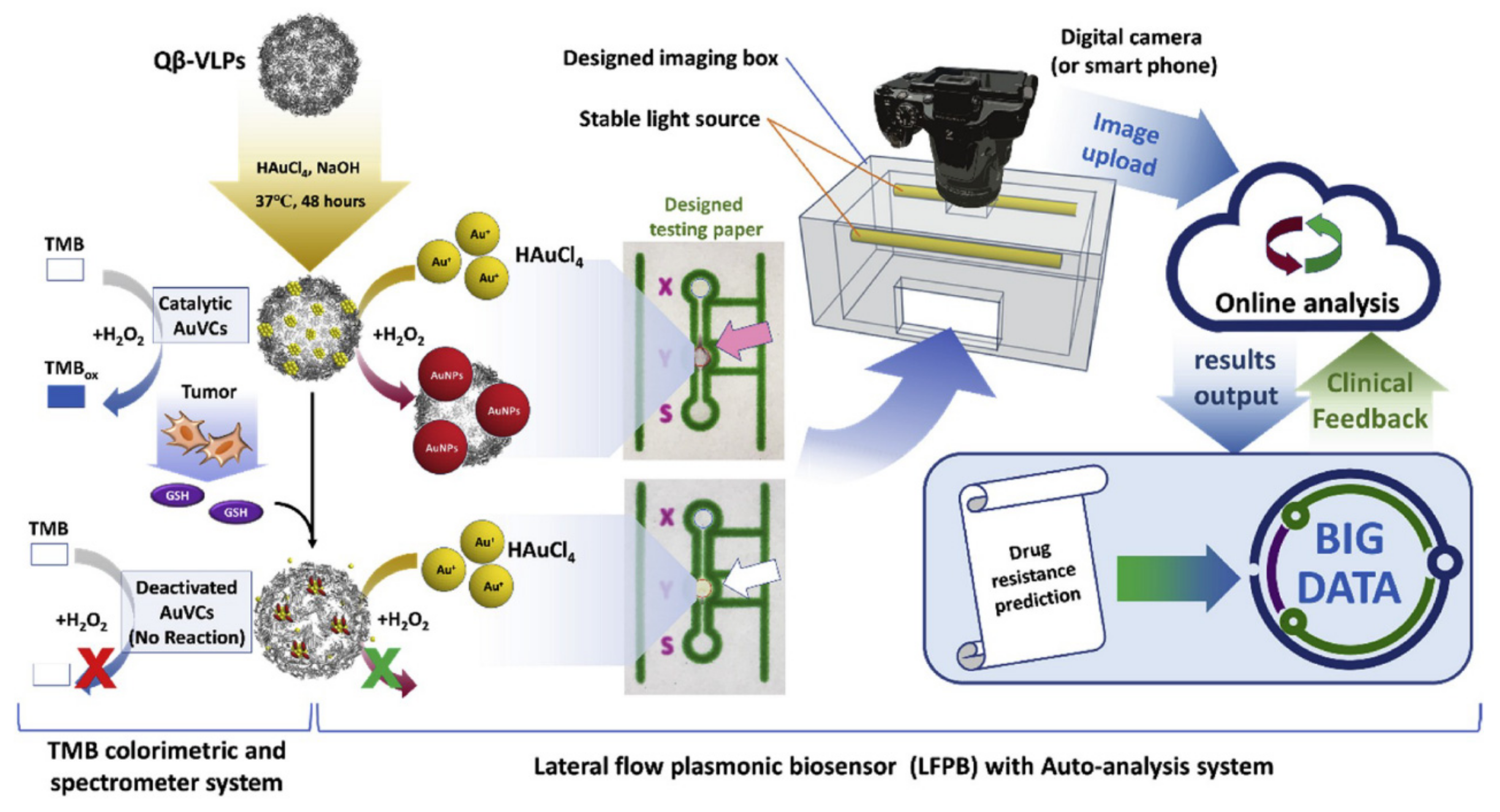 Sensors 20 06214 g015