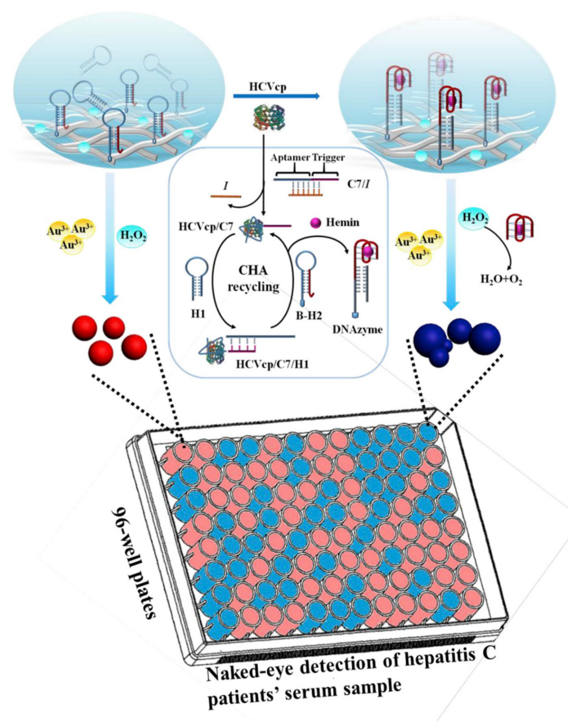 Sensors 20 06214 g016
