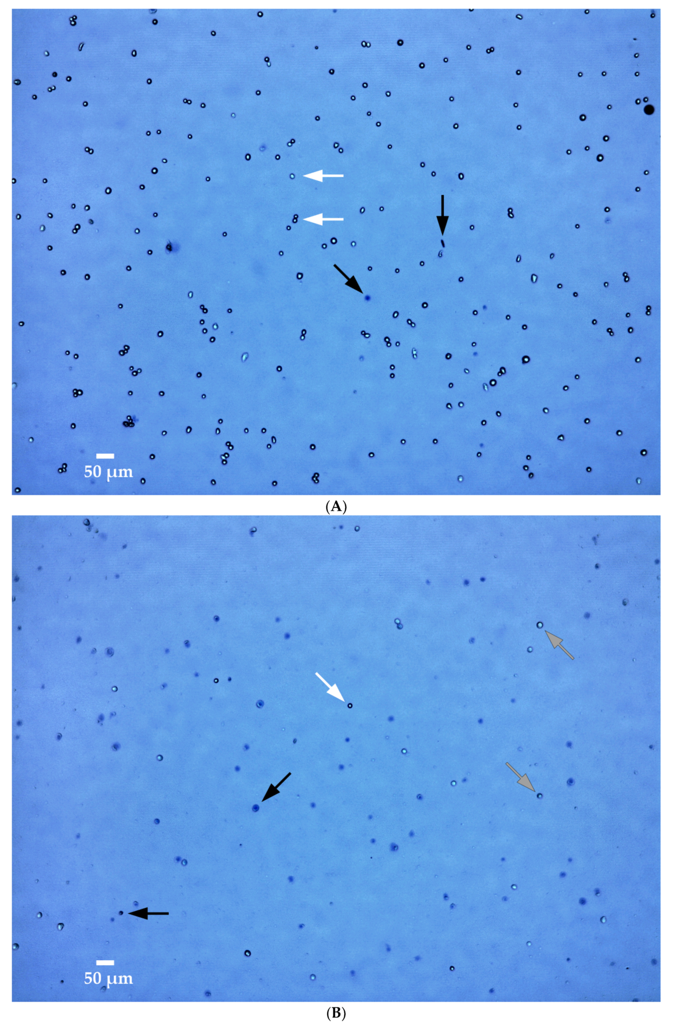 Sensors 20 06227 g009