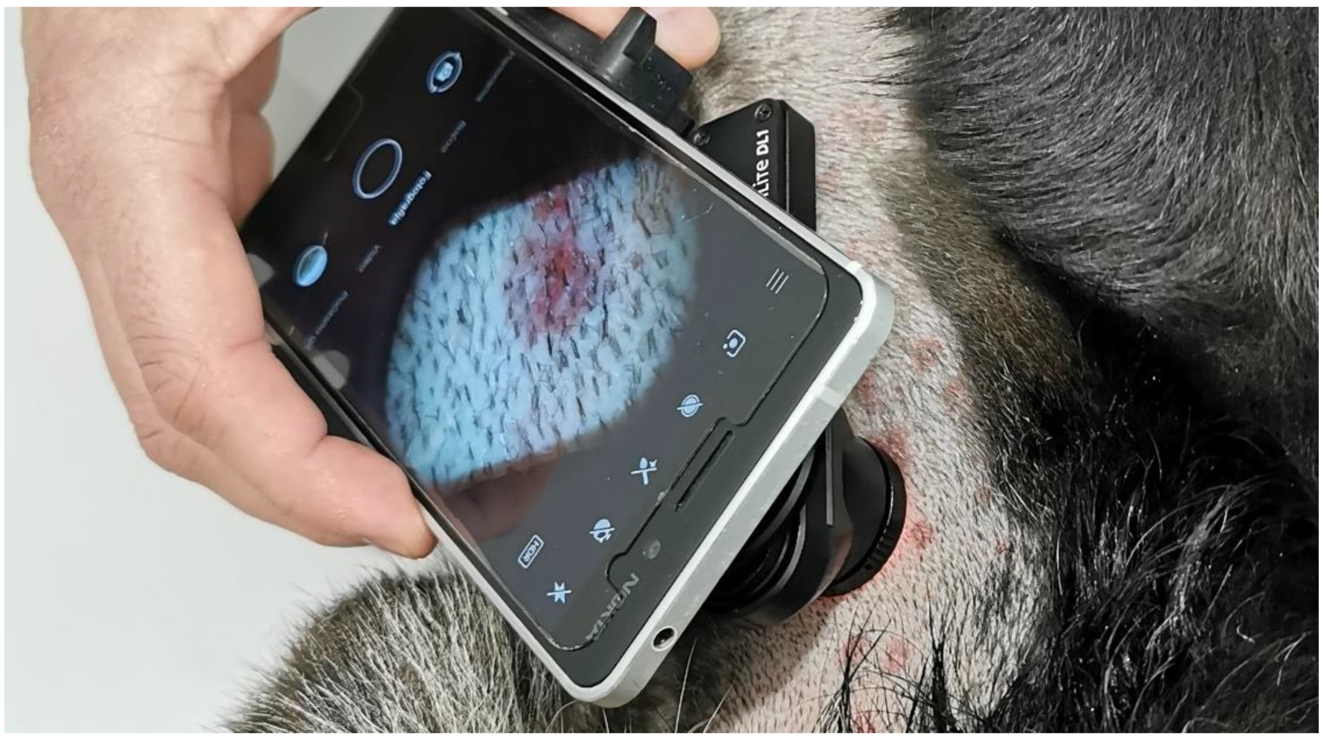 Sensors 20 06234 g001