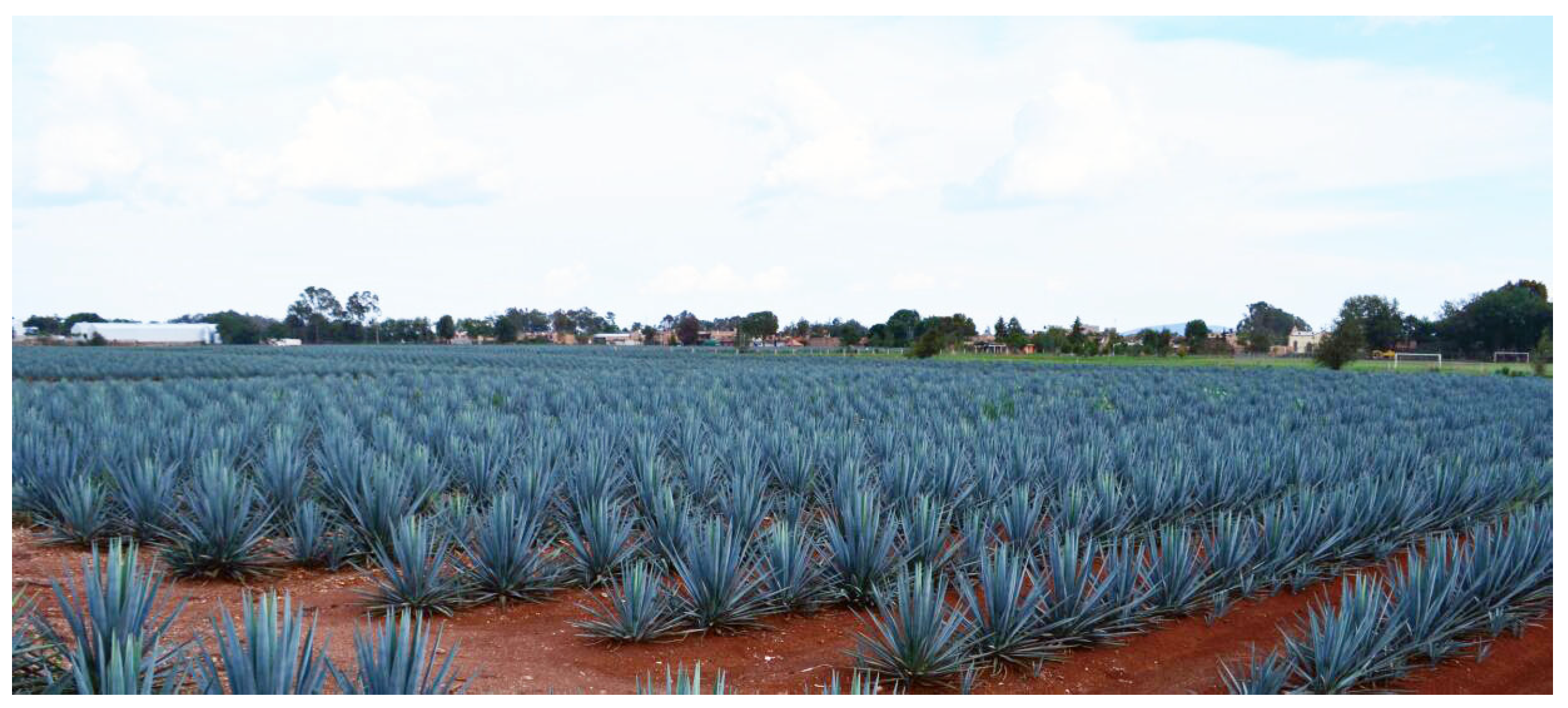 Sensors 20 06247 g001