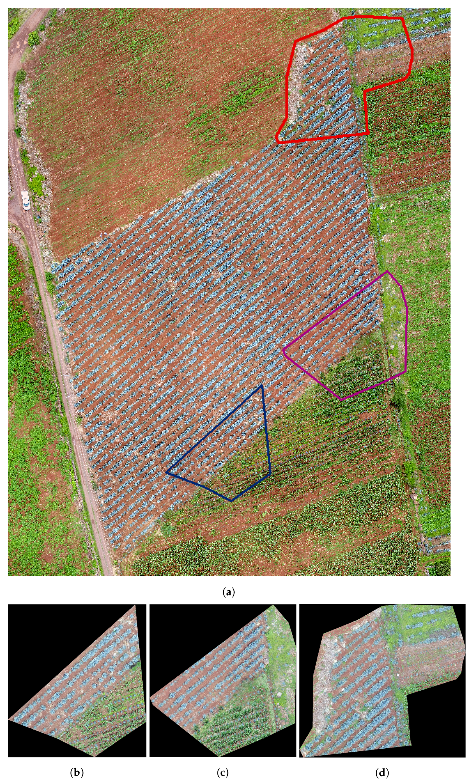 Sensors 20 06247 g002