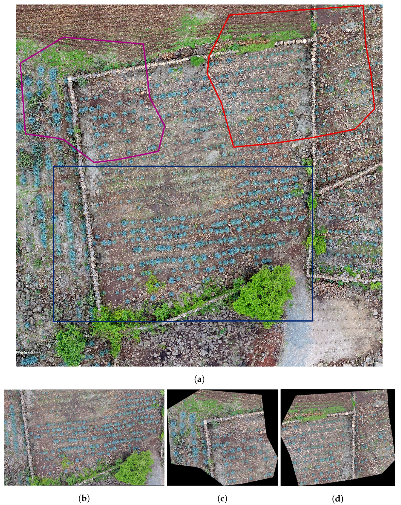 Sensors 20 06247 g003