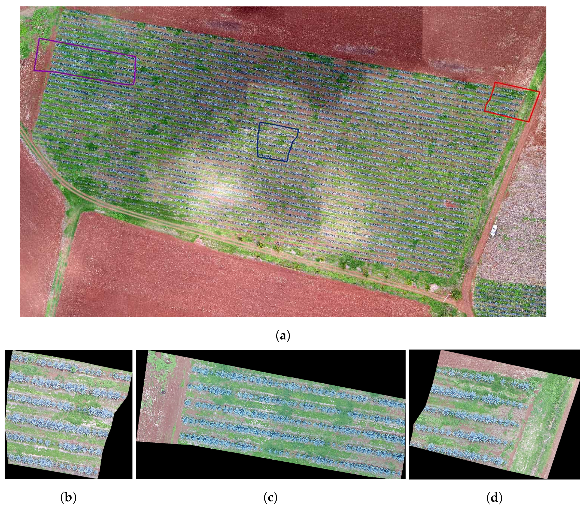 Sensors 20 06247 g004