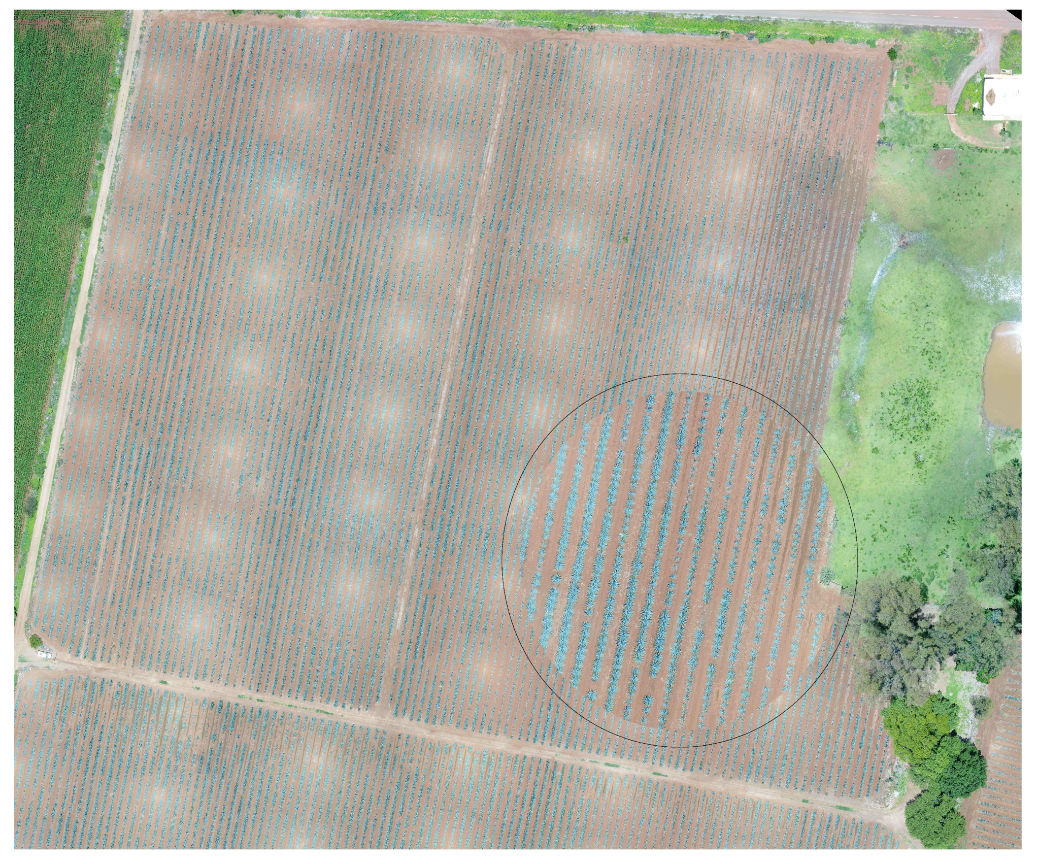 Sensors 20 06247 g005