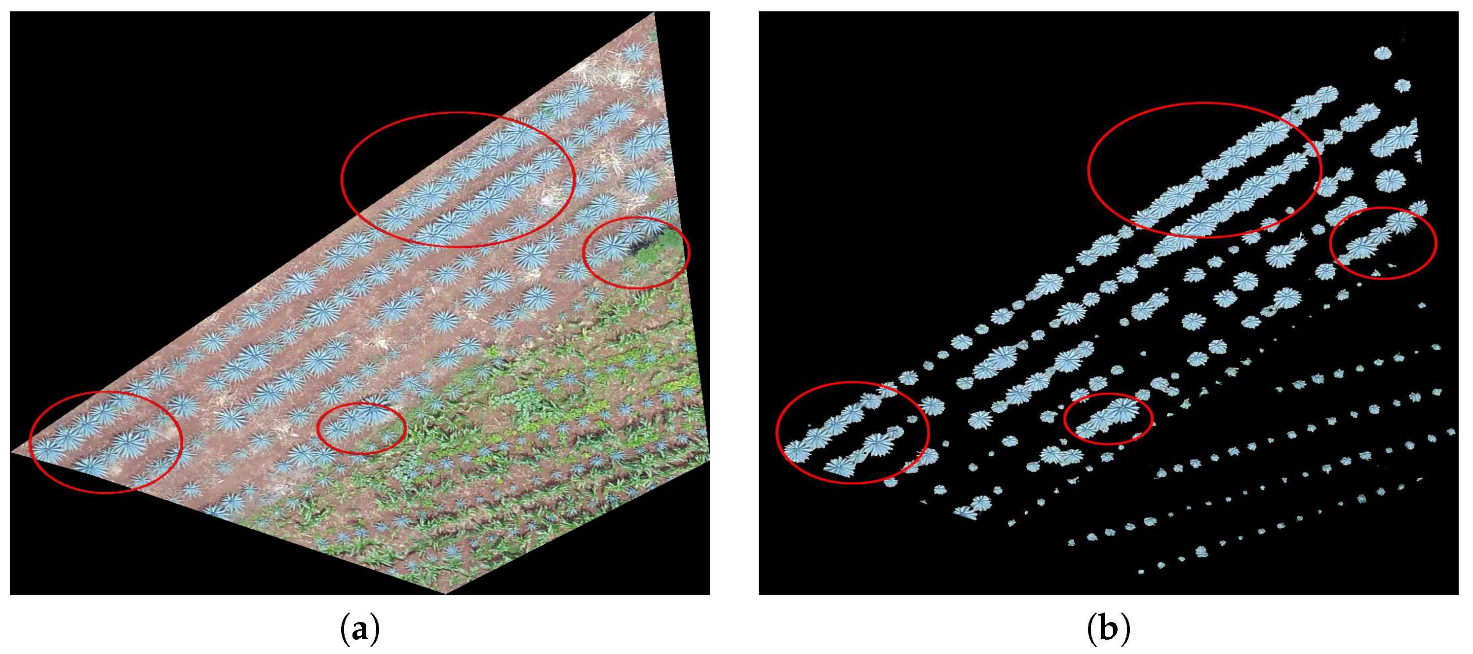 Sensors 20 06247 g006