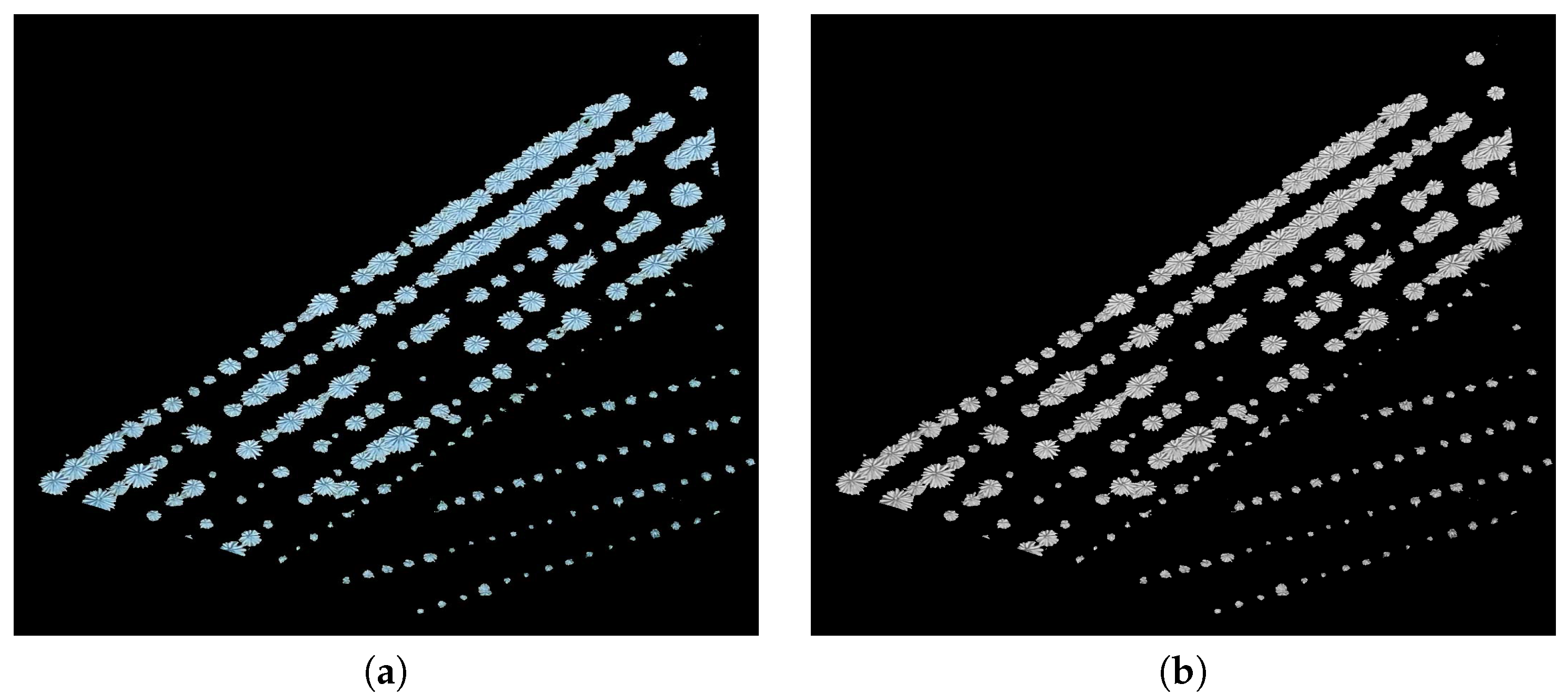 Sensors 20 06247 g008