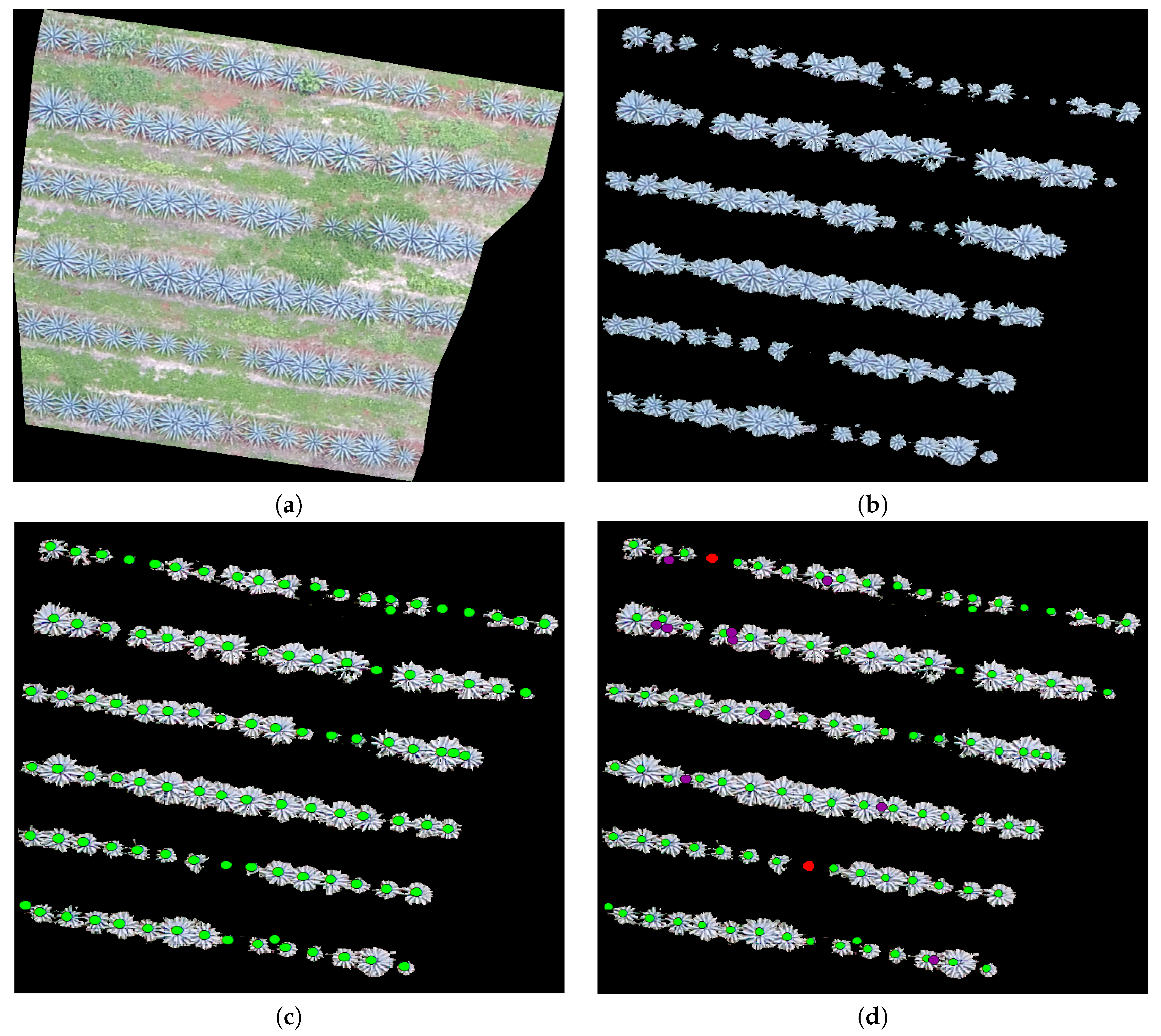 Sensors 20 06247 g015