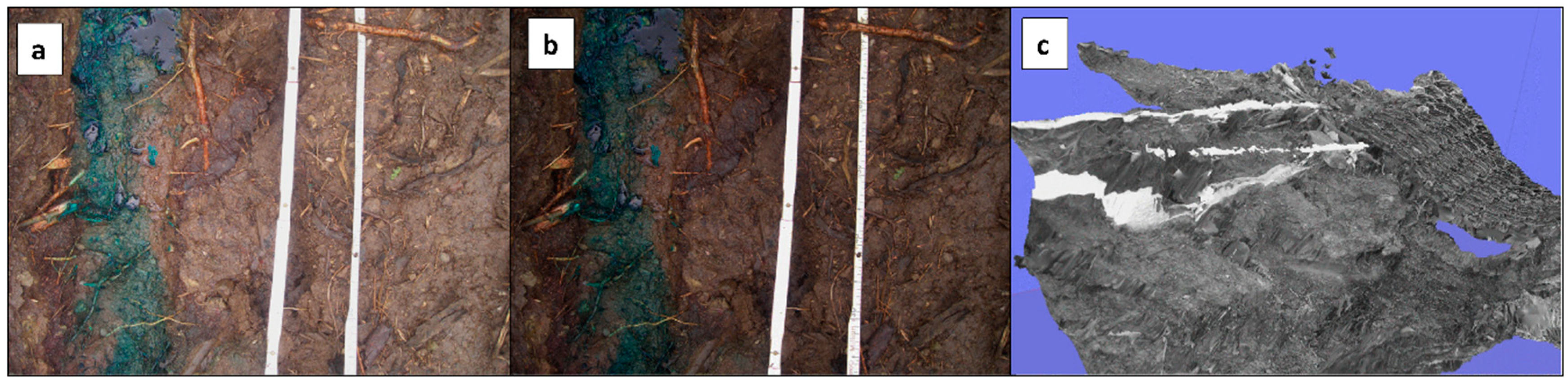 Sensors 20 06254 g008