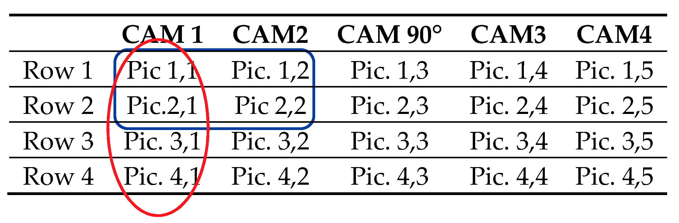Sensors 20 06254 i001