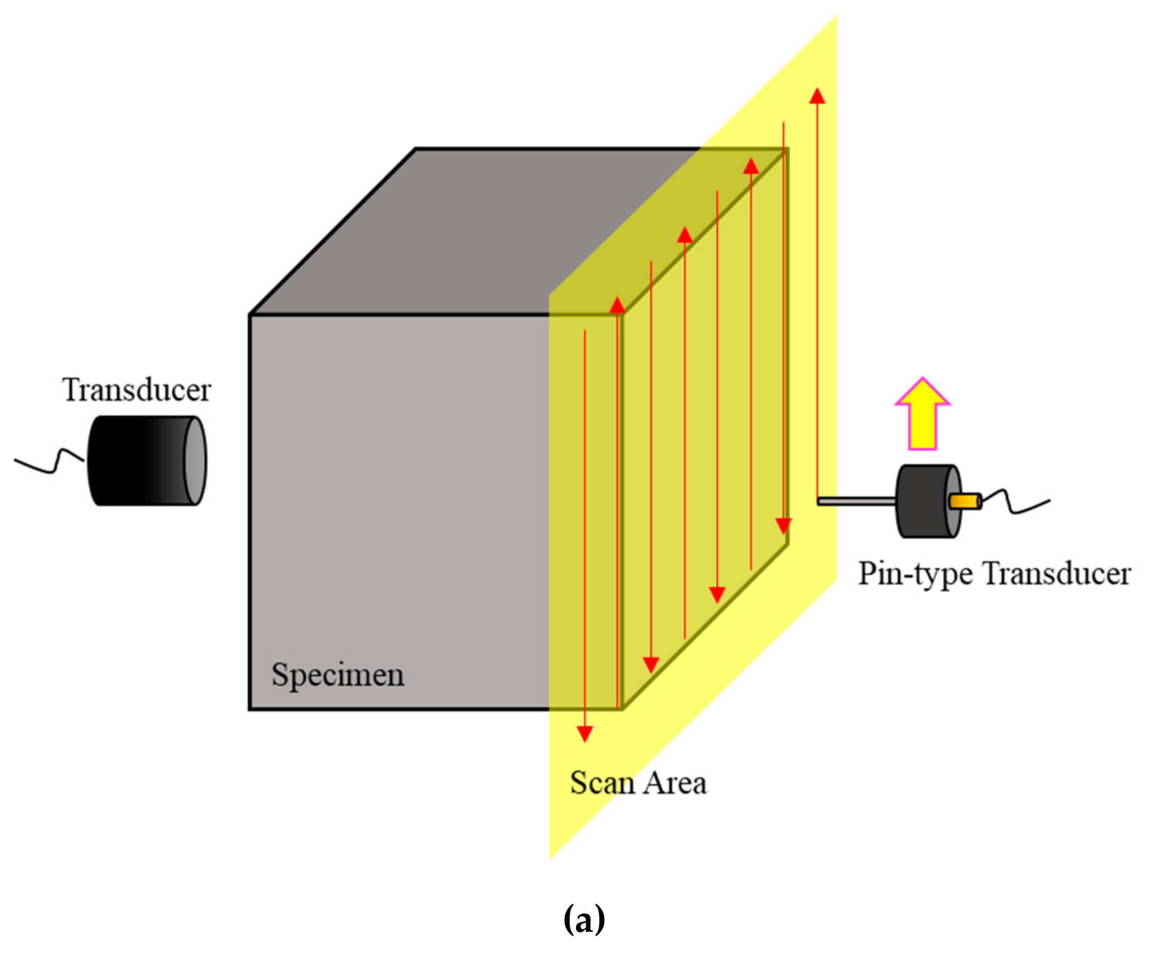 Sensors 20 06259 g008a