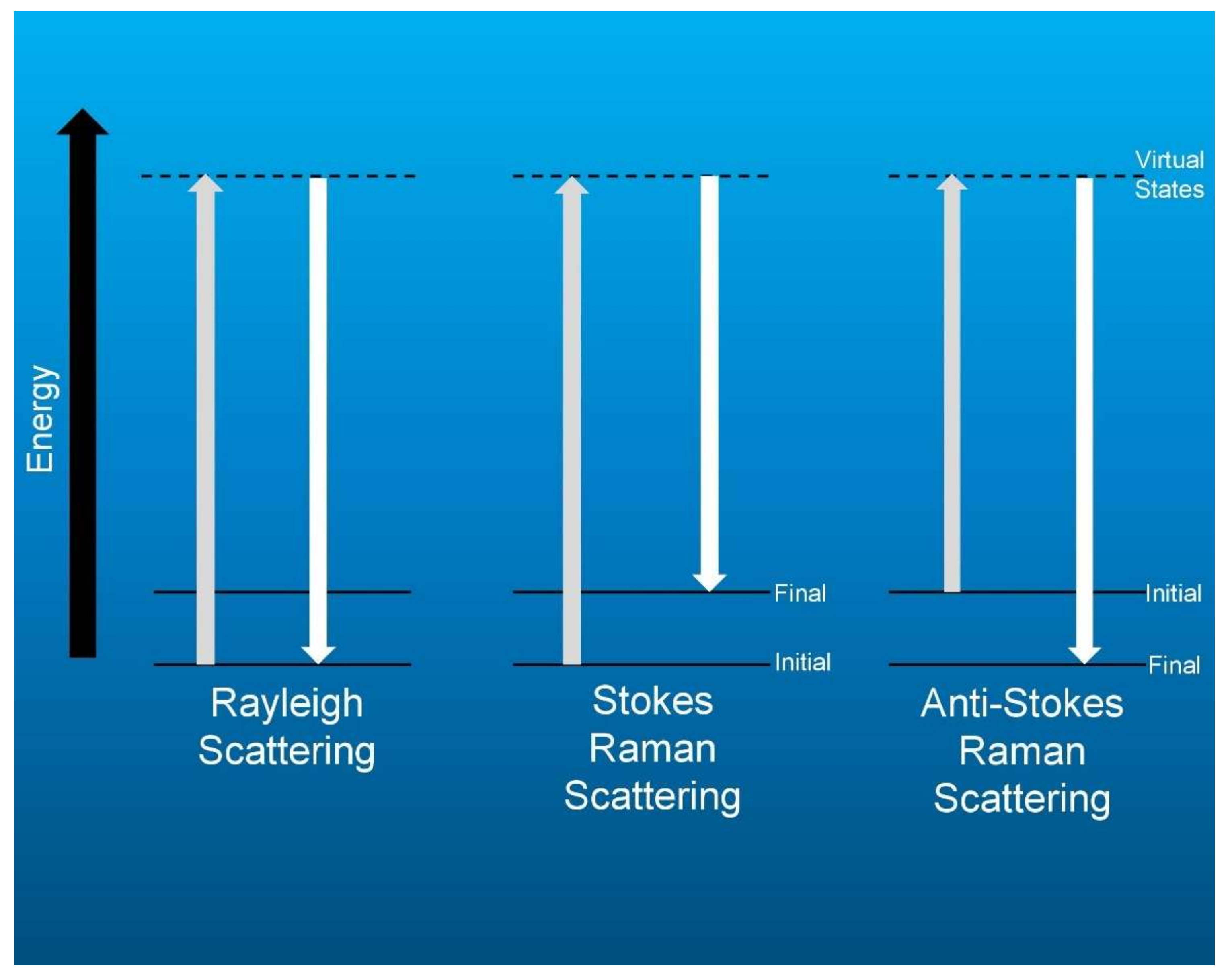 Sensors 20 06260 g001